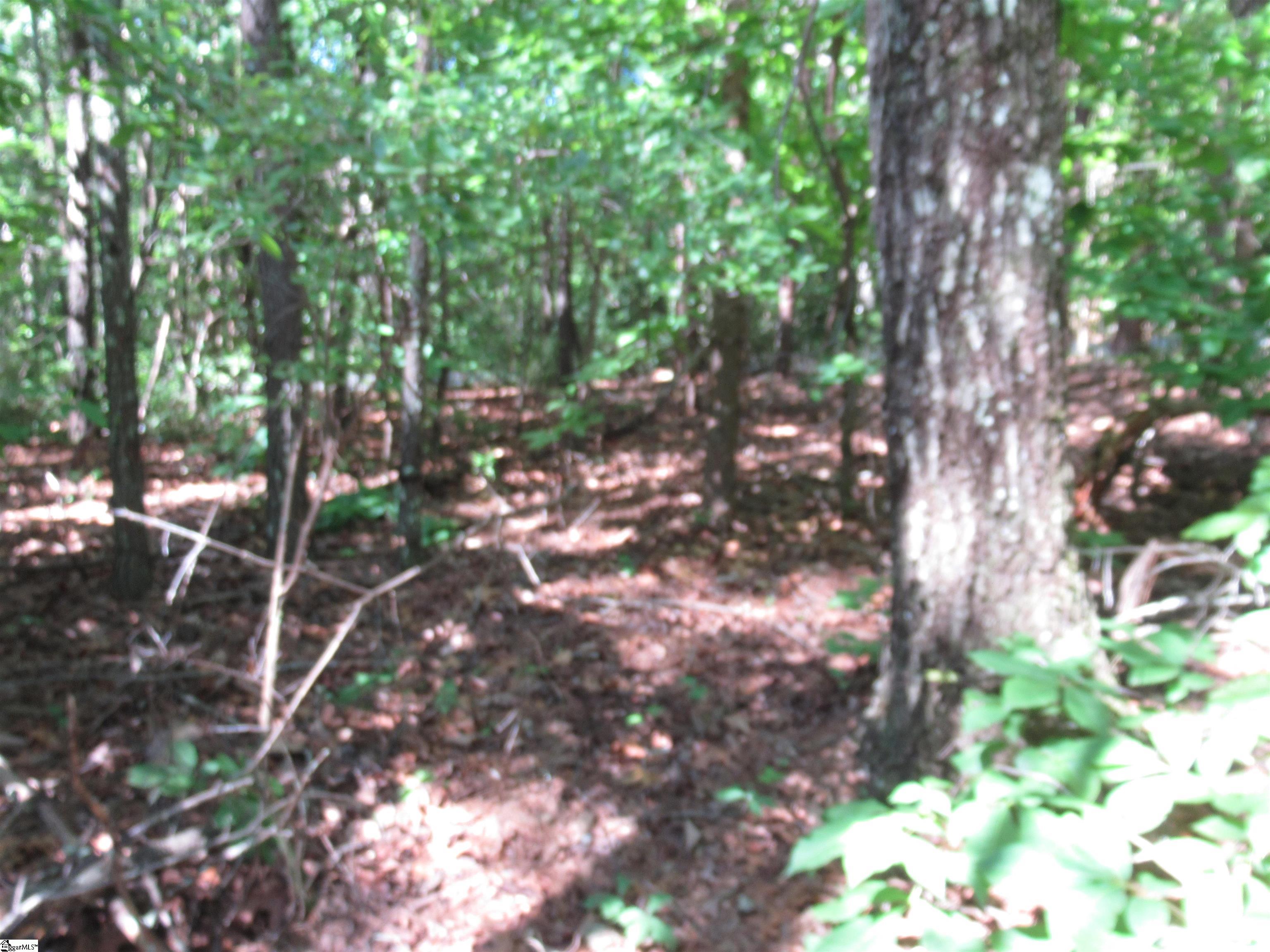 221 River Bluff, Cleveland, South Carolina image 26
