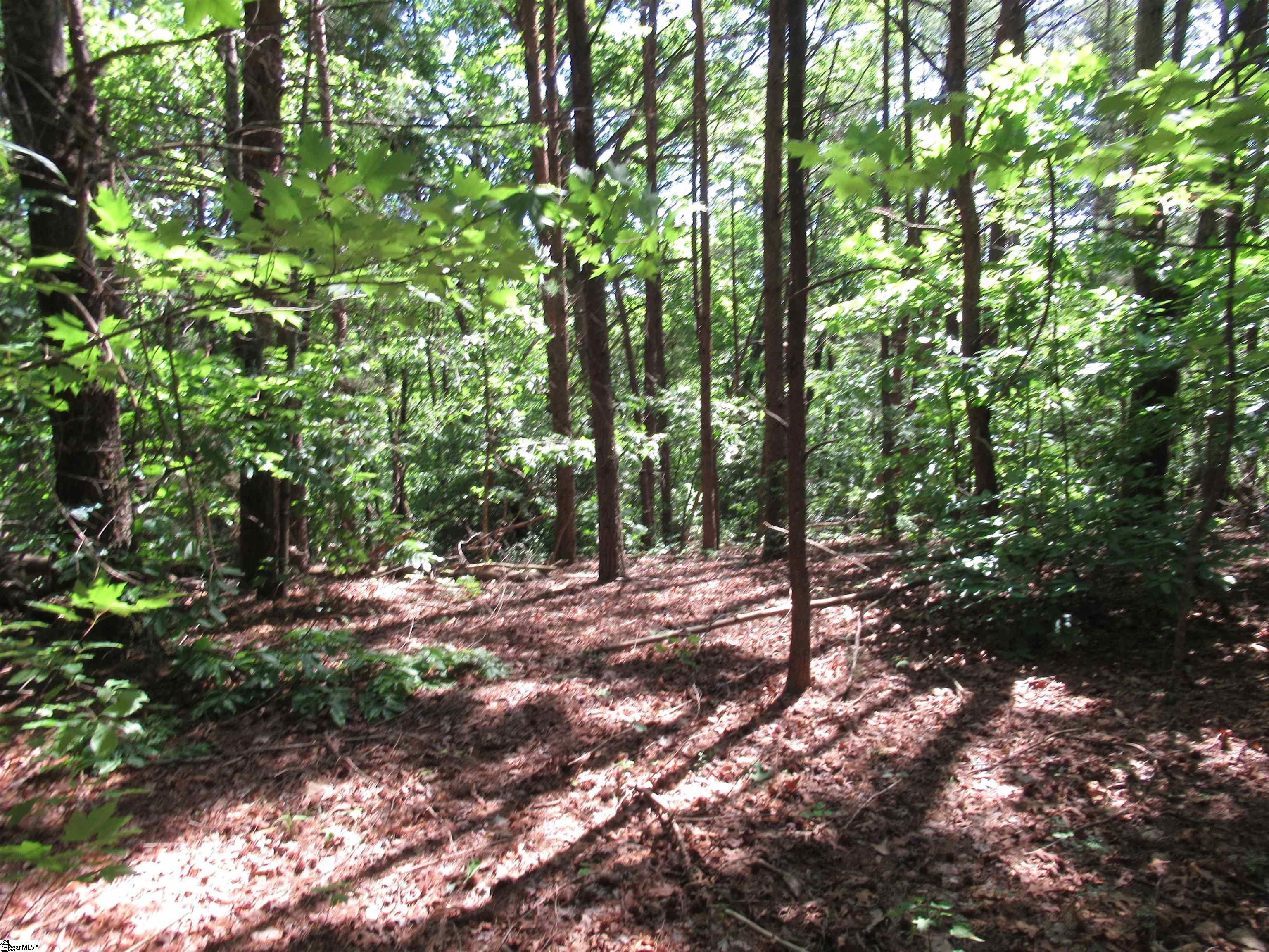 221 River Bluff, Cleveland, South Carolina image 4
