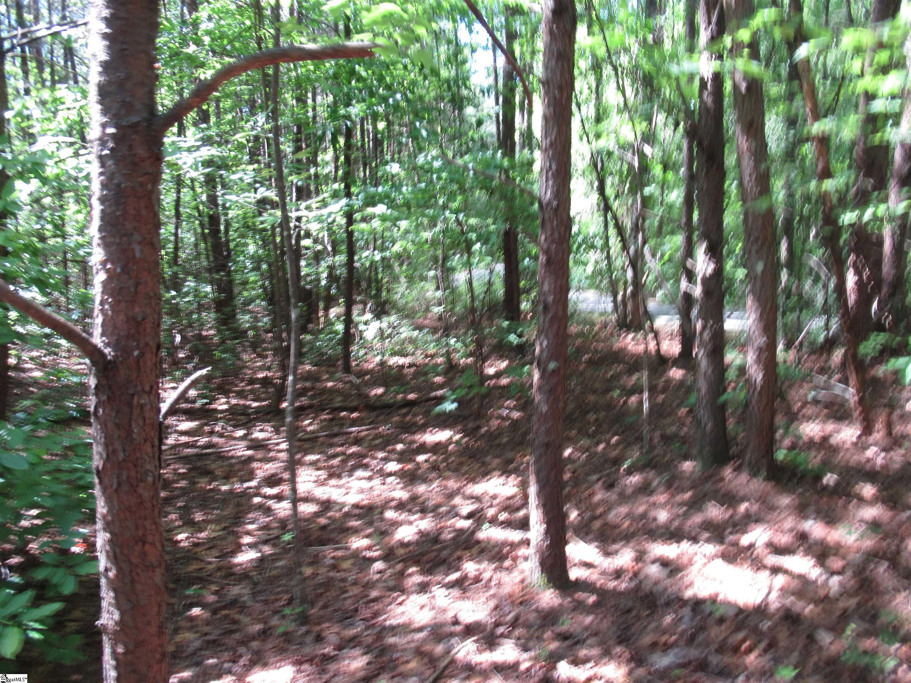 221 River Bluff, Cleveland, South Carolina image 7