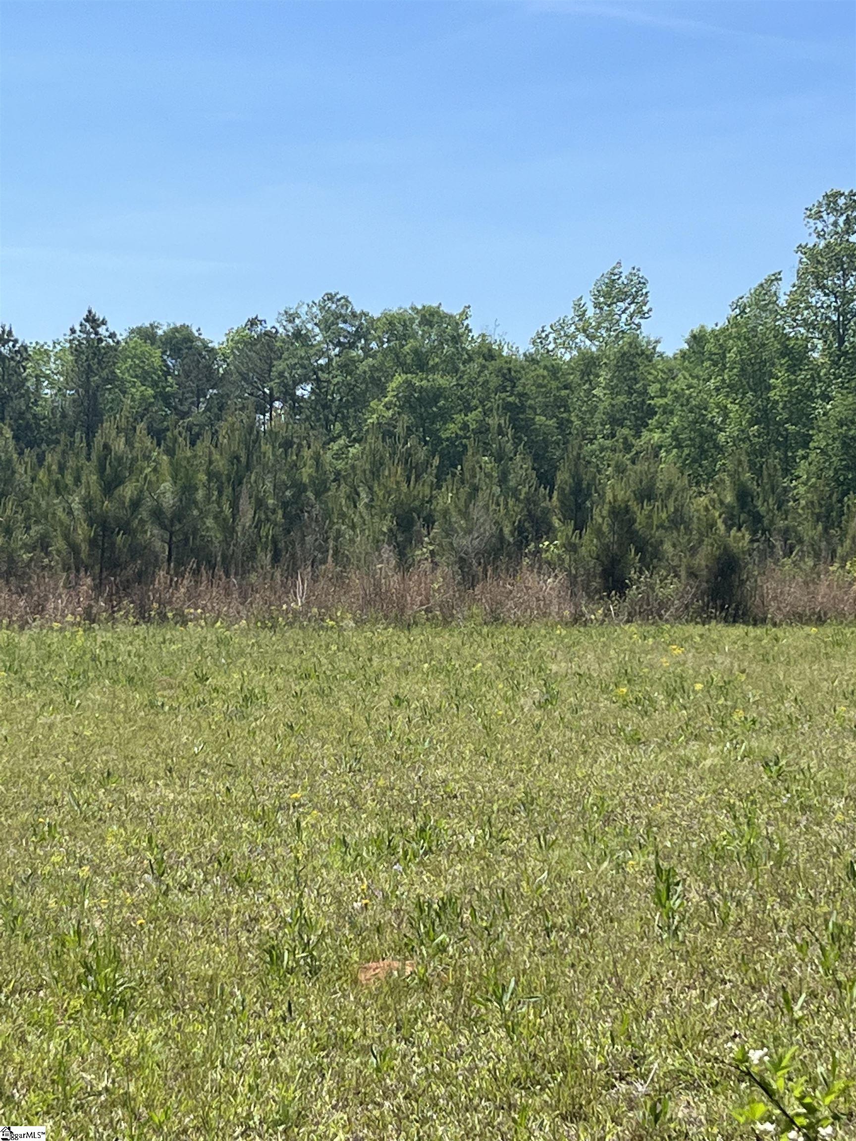 363 Bulls Horne Road, Abbeville SC 29620
