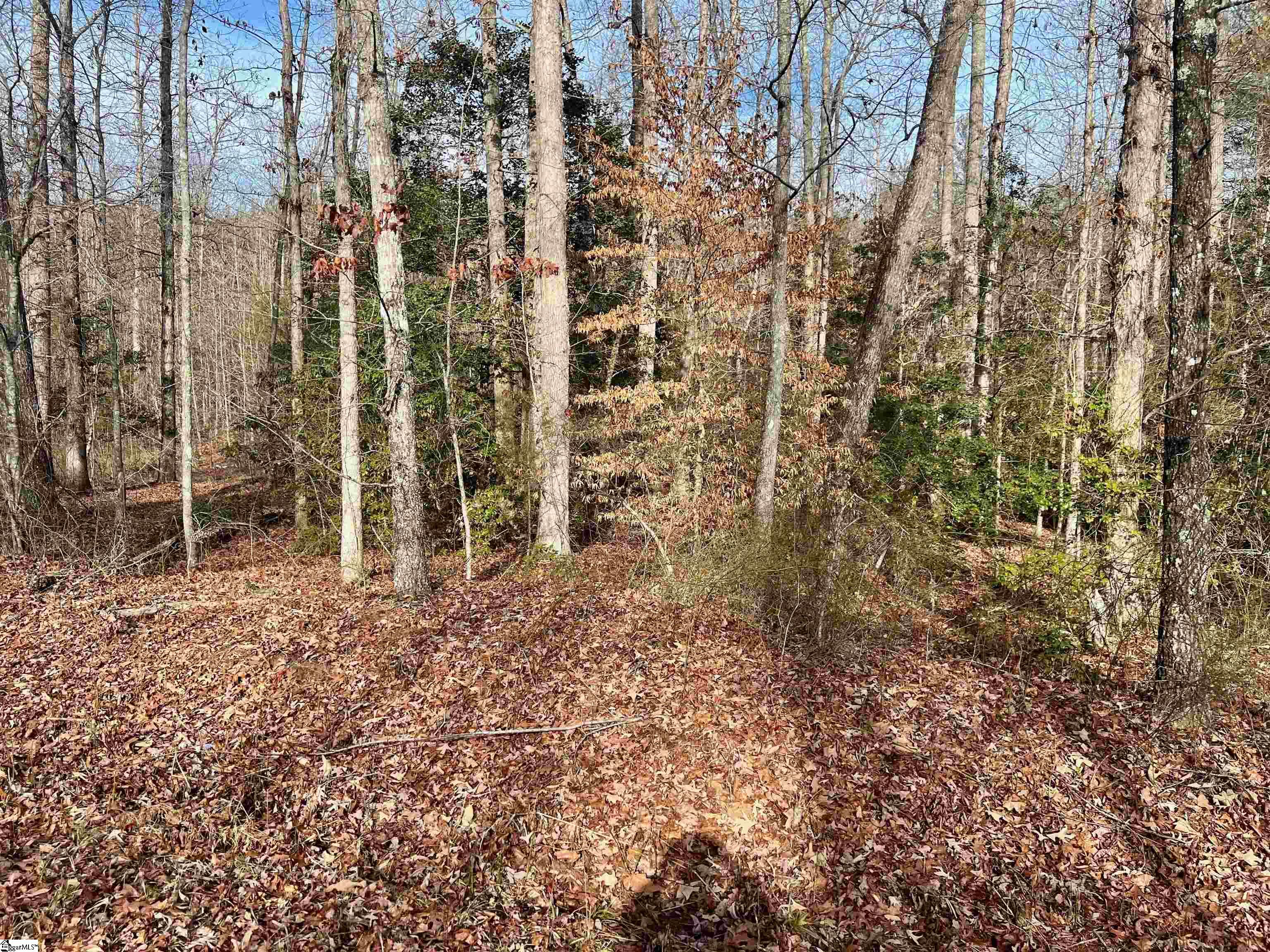 00 Hamilton Road, Marietta SC 29661