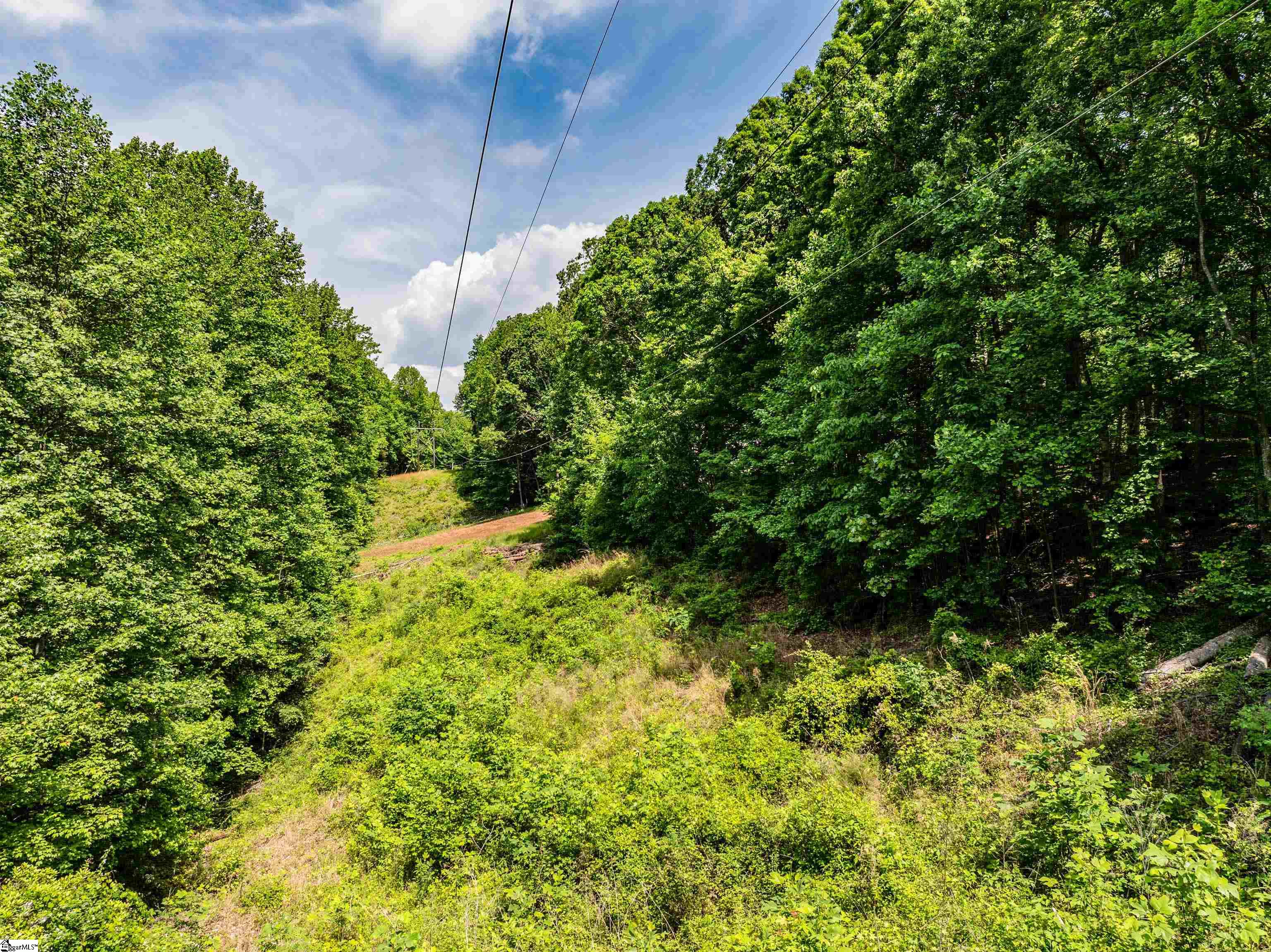 67 Wildflower, Travelers Rest, South Carolina image 11