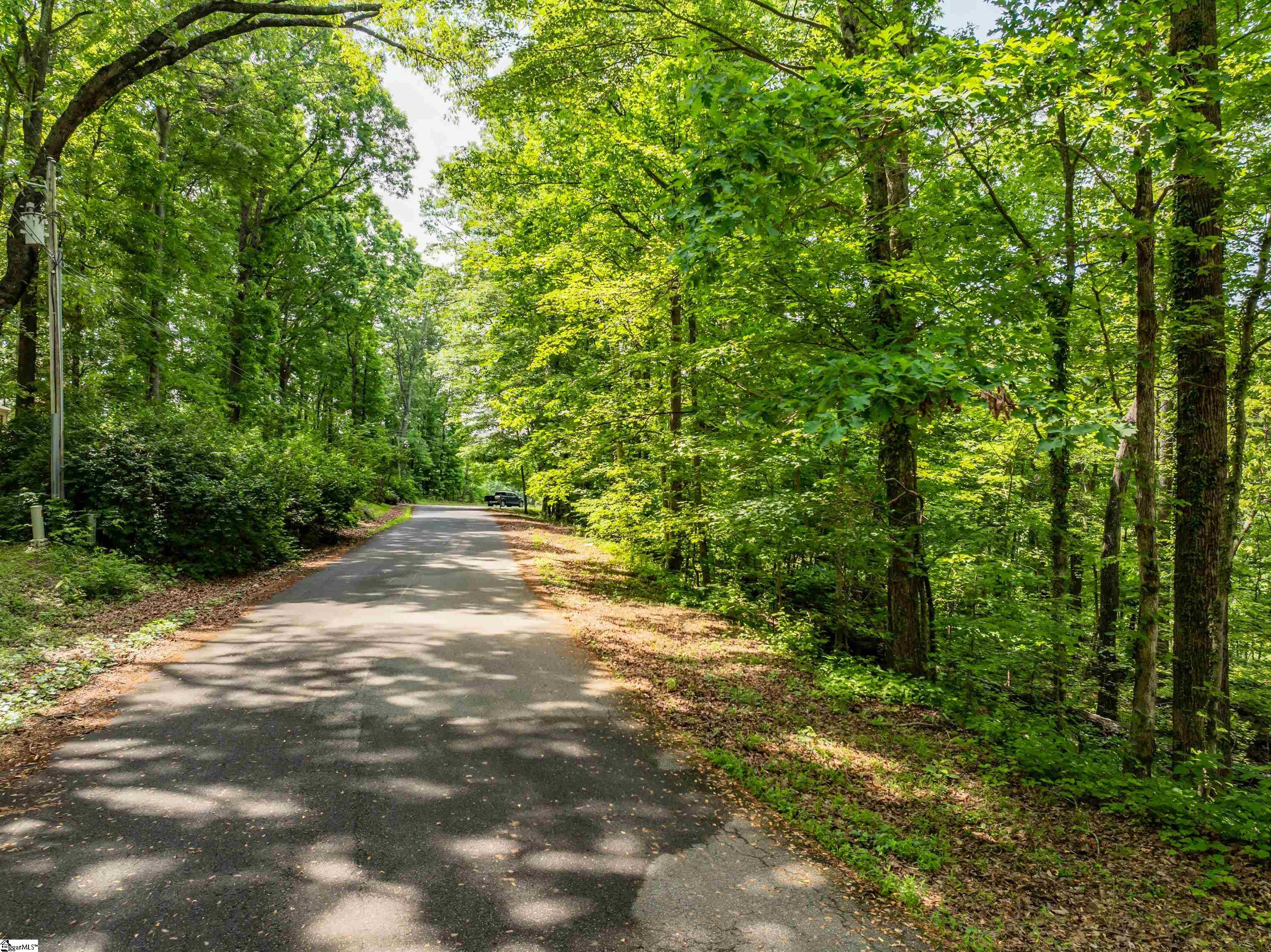 67 Wildflower, Travelers Rest, South Carolina image 7
