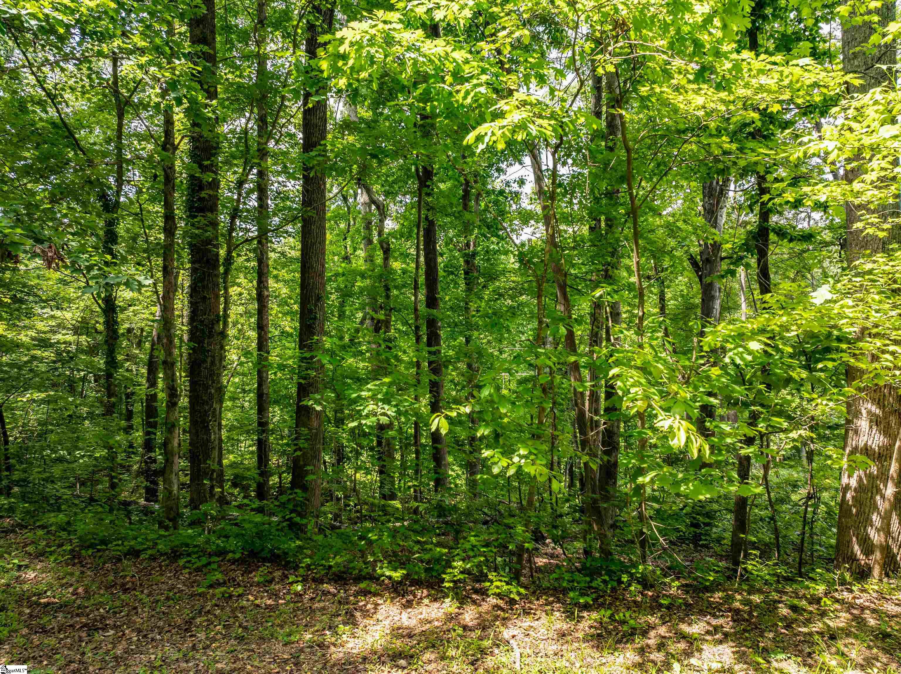 67 Wildflower, Travelers Rest, South Carolina image 8