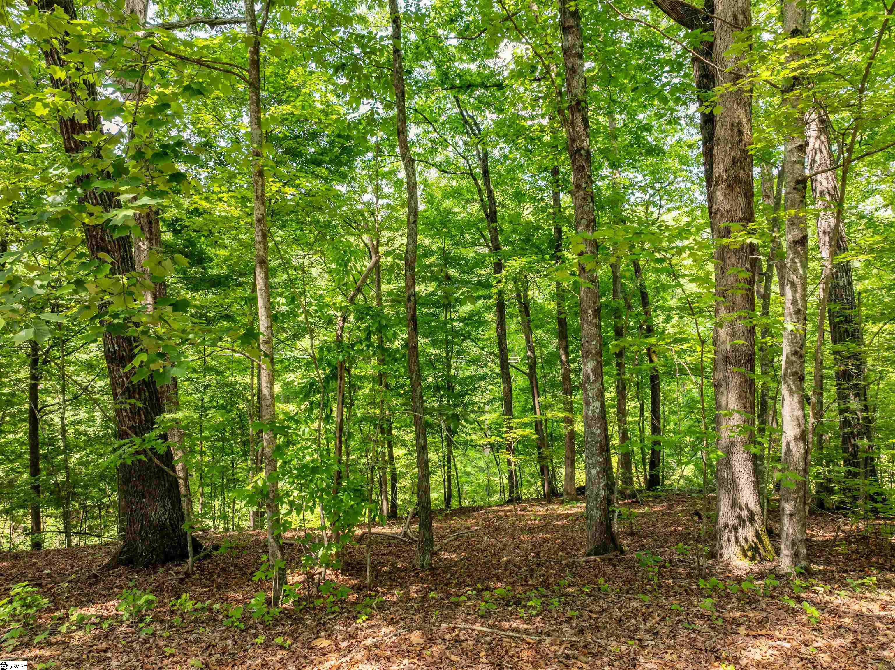 67 Wildflower, Travelers Rest, South Carolina image 10