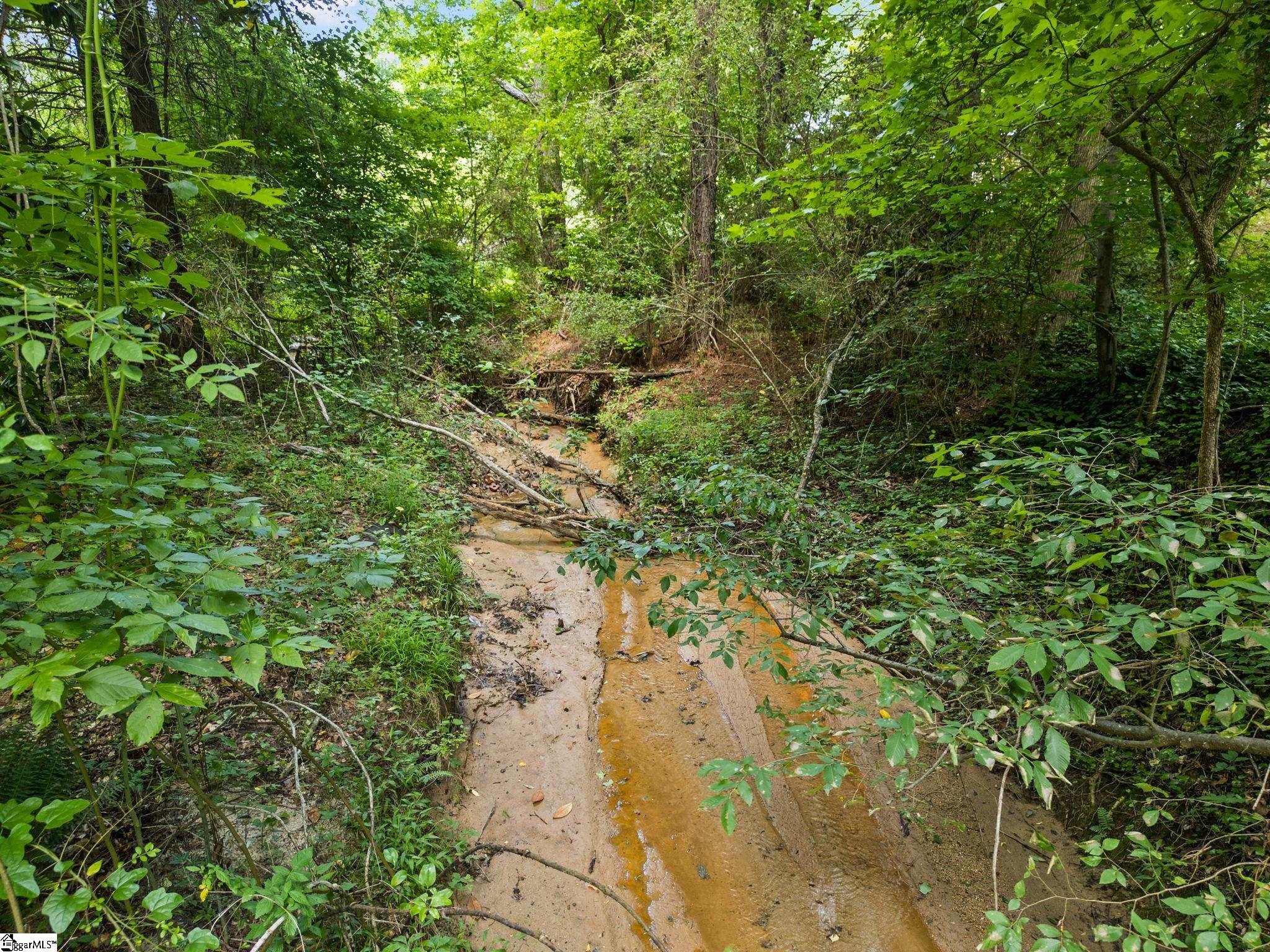 164 Sugar Creek, Laurens, South Carolina image 13