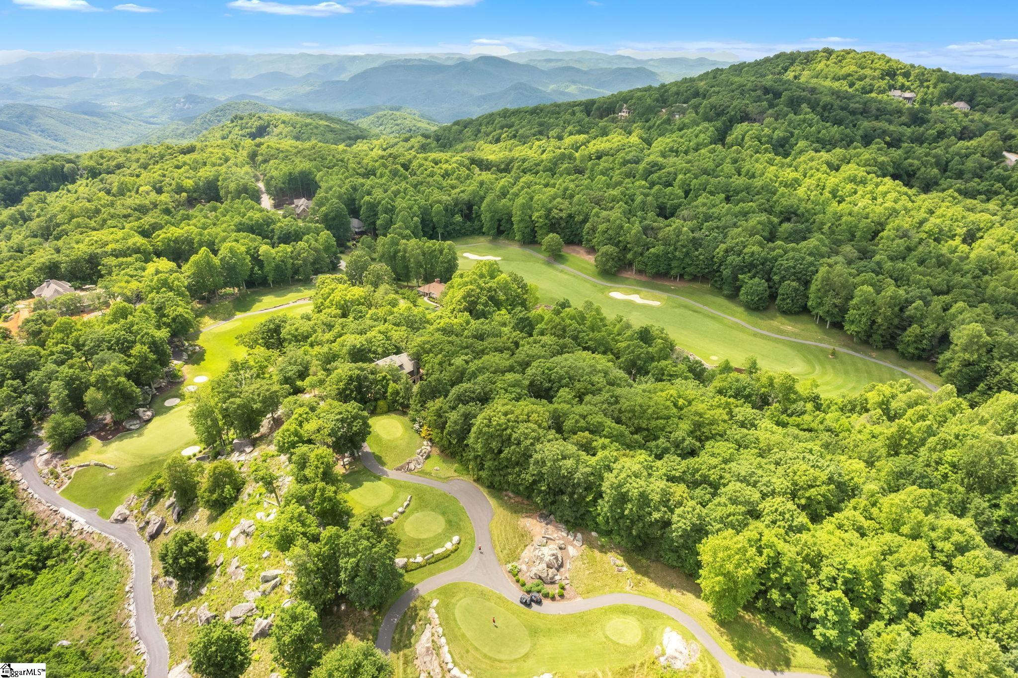 Glassy Ridge, Landrum, South Carolina image 11