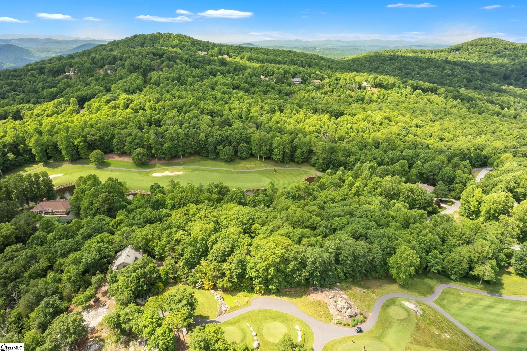 Glassy Ridge, Landrum, South Carolina image 12