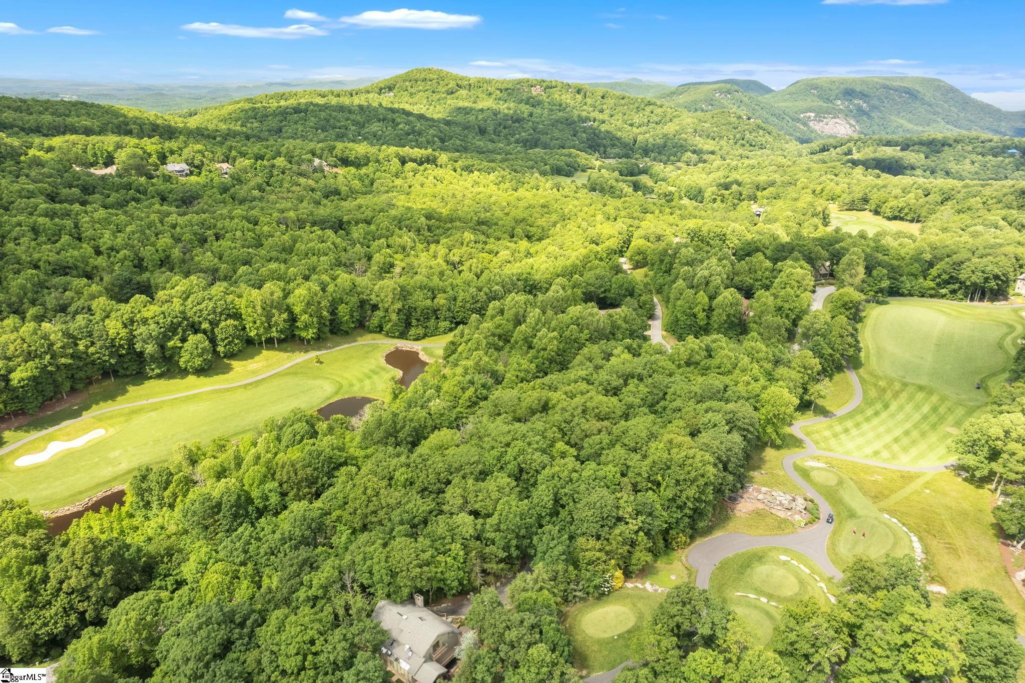 Glassy Ridge, Landrum, South Carolina image 13