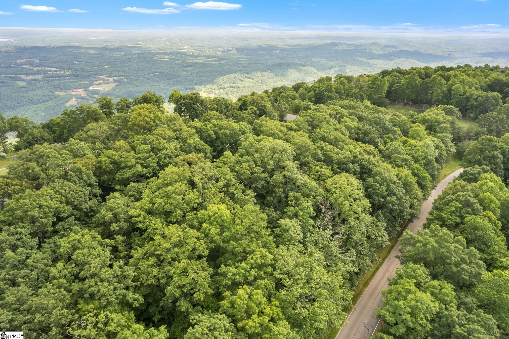 Glassy Ridge, Landrum, South Carolina image 16