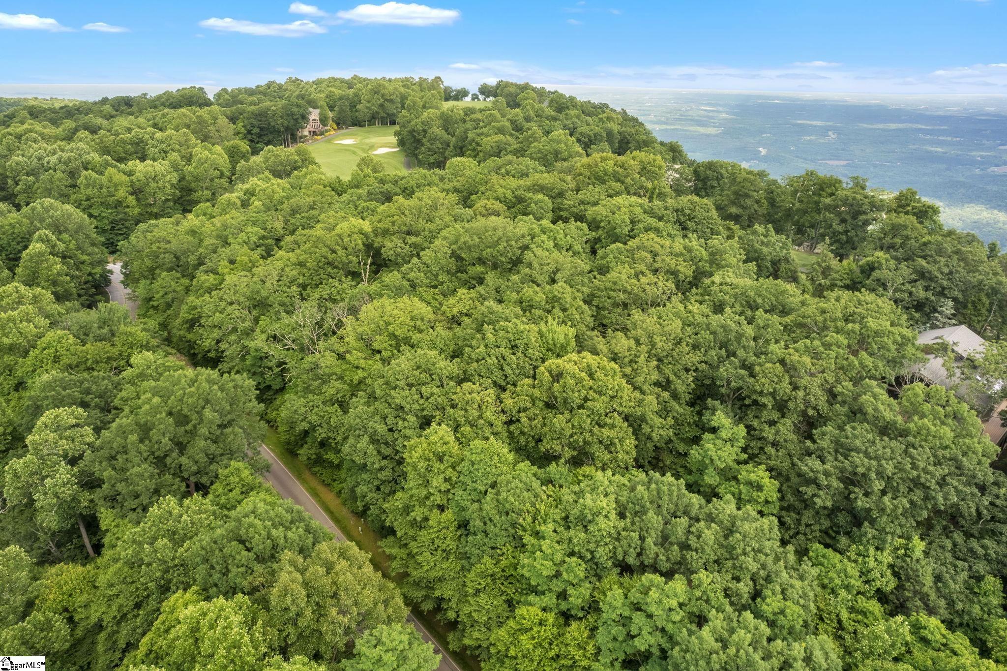 Glassy Ridge, Landrum, South Carolina image 17