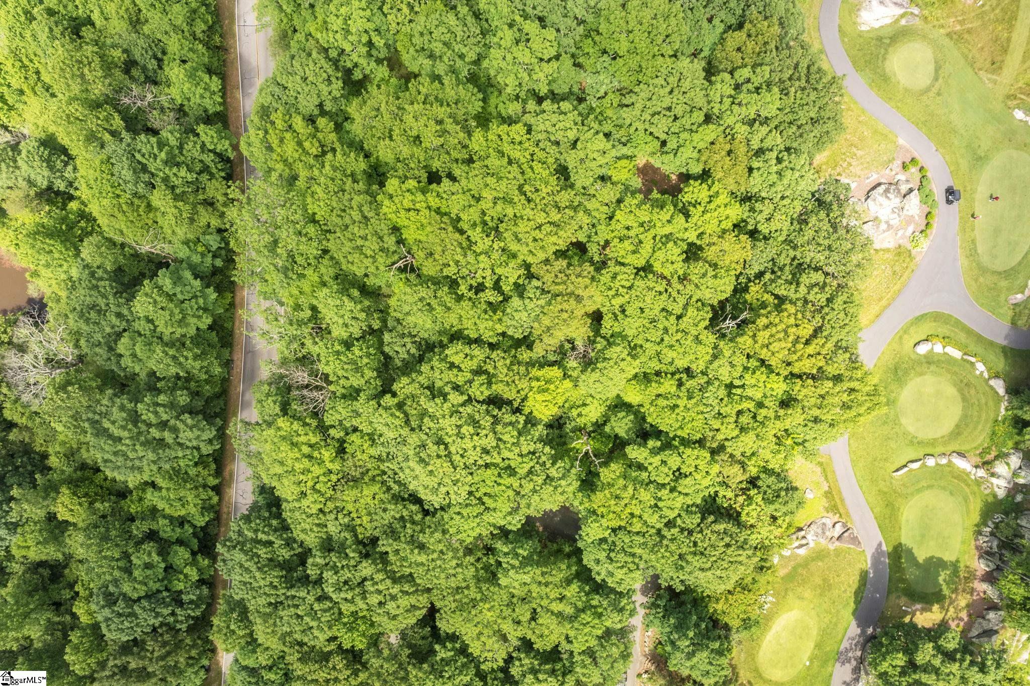 Glassy Ridge, Landrum, South Carolina image 7