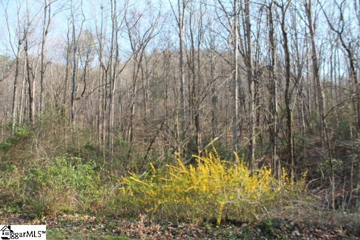 000 Glendlyon Drive, Landrum SC 29356-0000