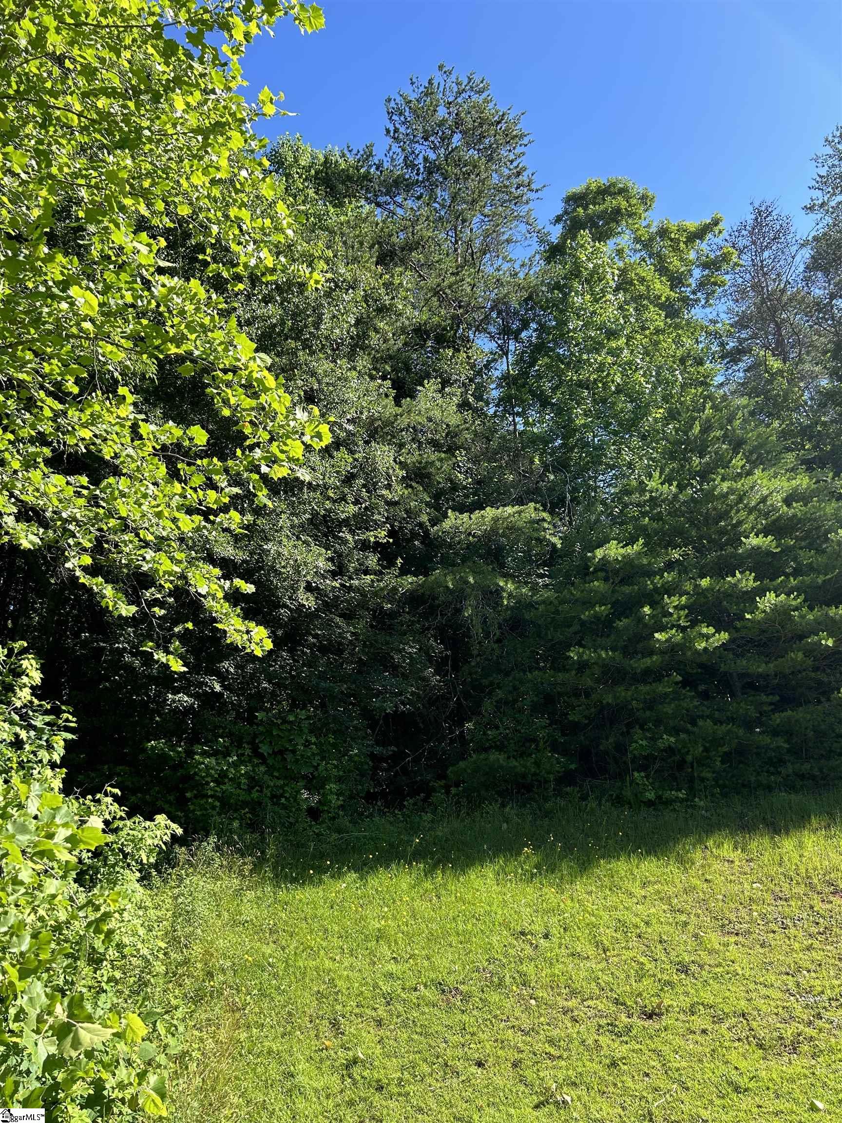 0 N 25 Highway, Travelers Rest SC 29690