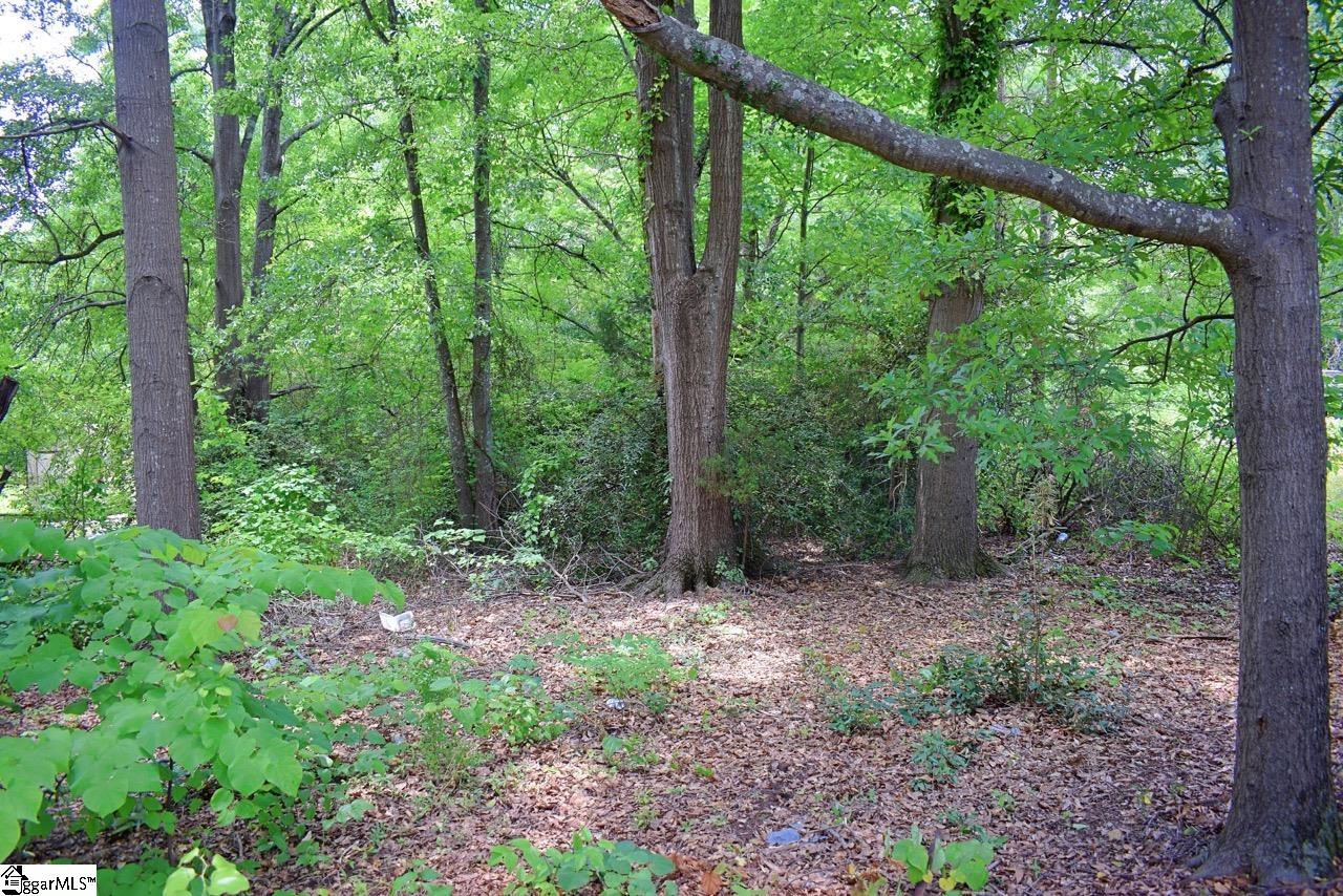 Holt, Spartanburg, South Carolina image 3