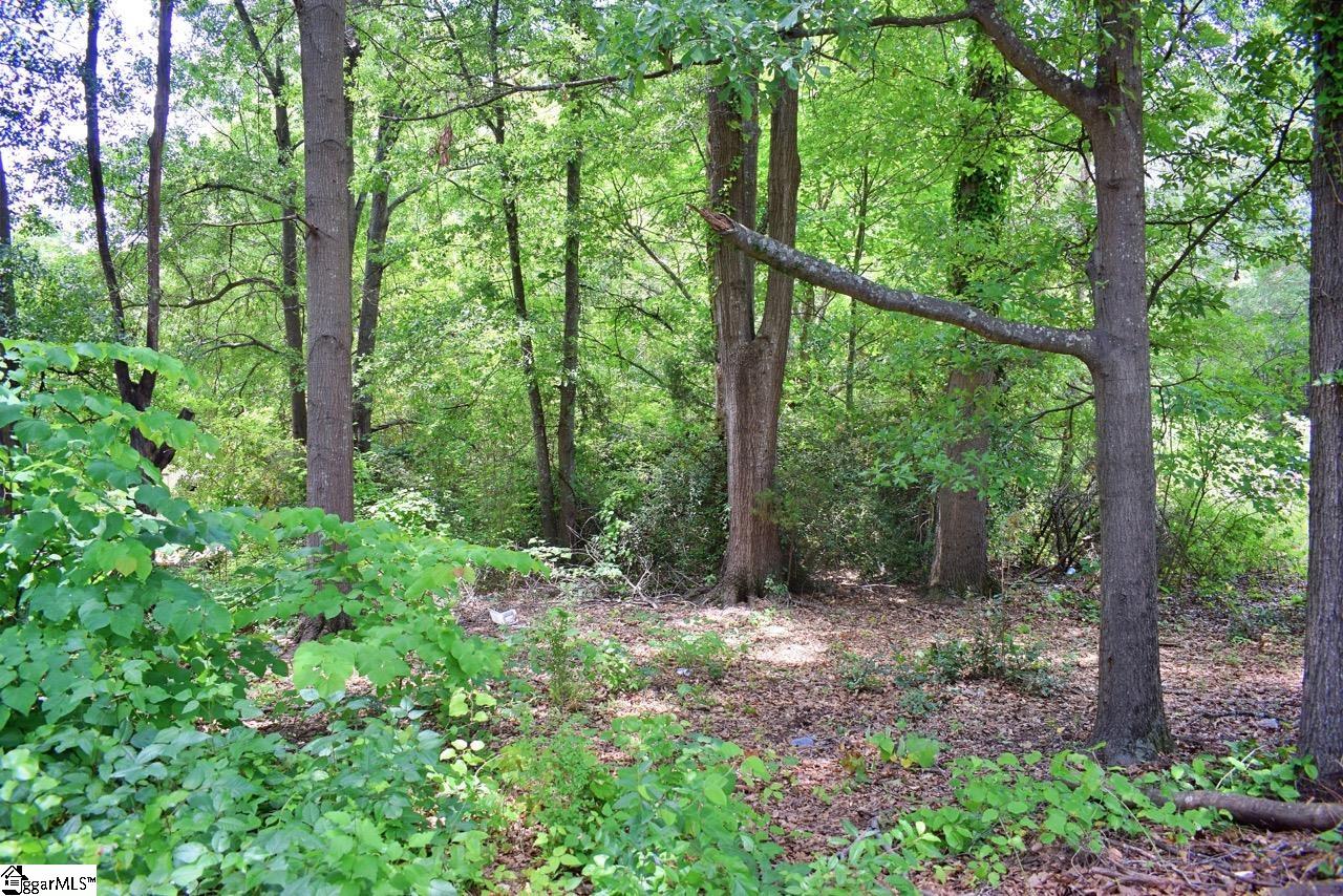 Holt, Spartanburg, South Carolina image 4