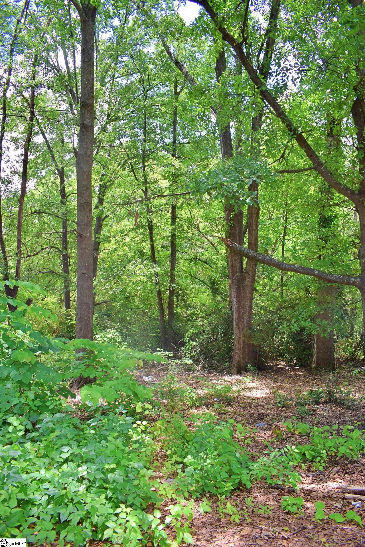 Holt, Spartanburg, South Carolina image 5