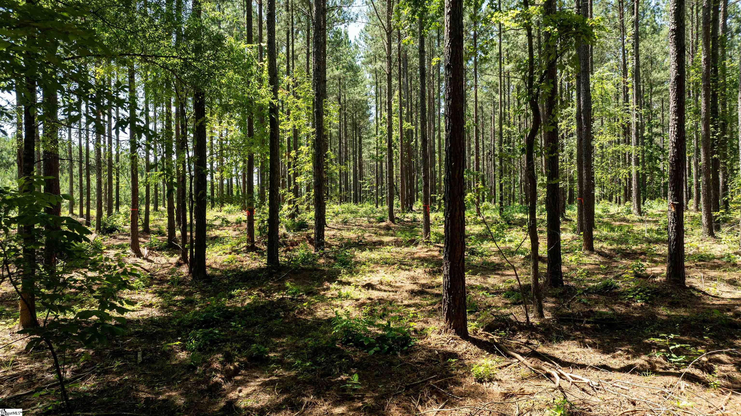 003 Garlington Road Mountville, SC 29370