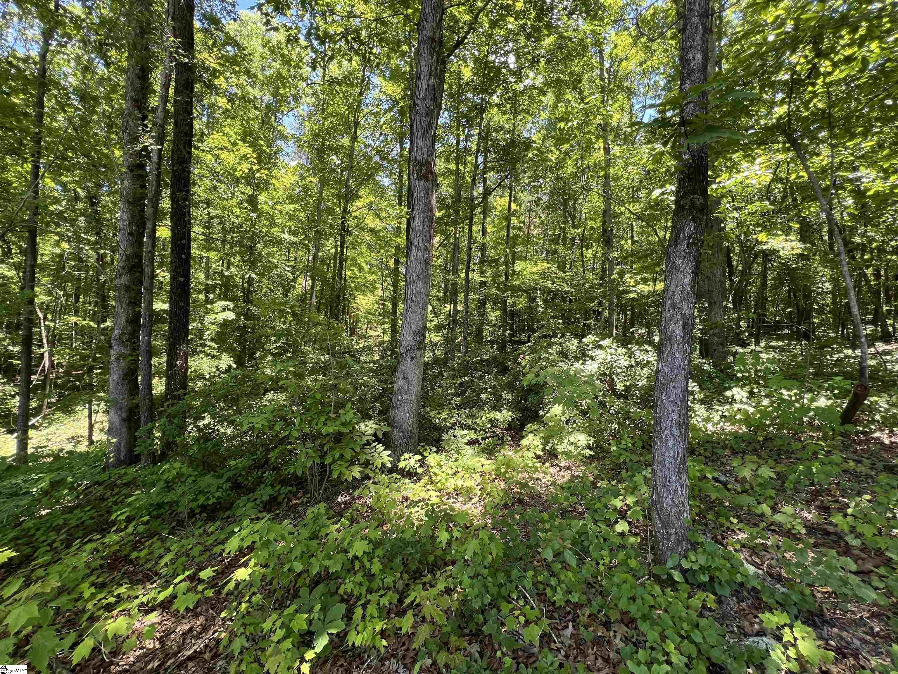 00 Red Hill Road, Pickens SC 29671