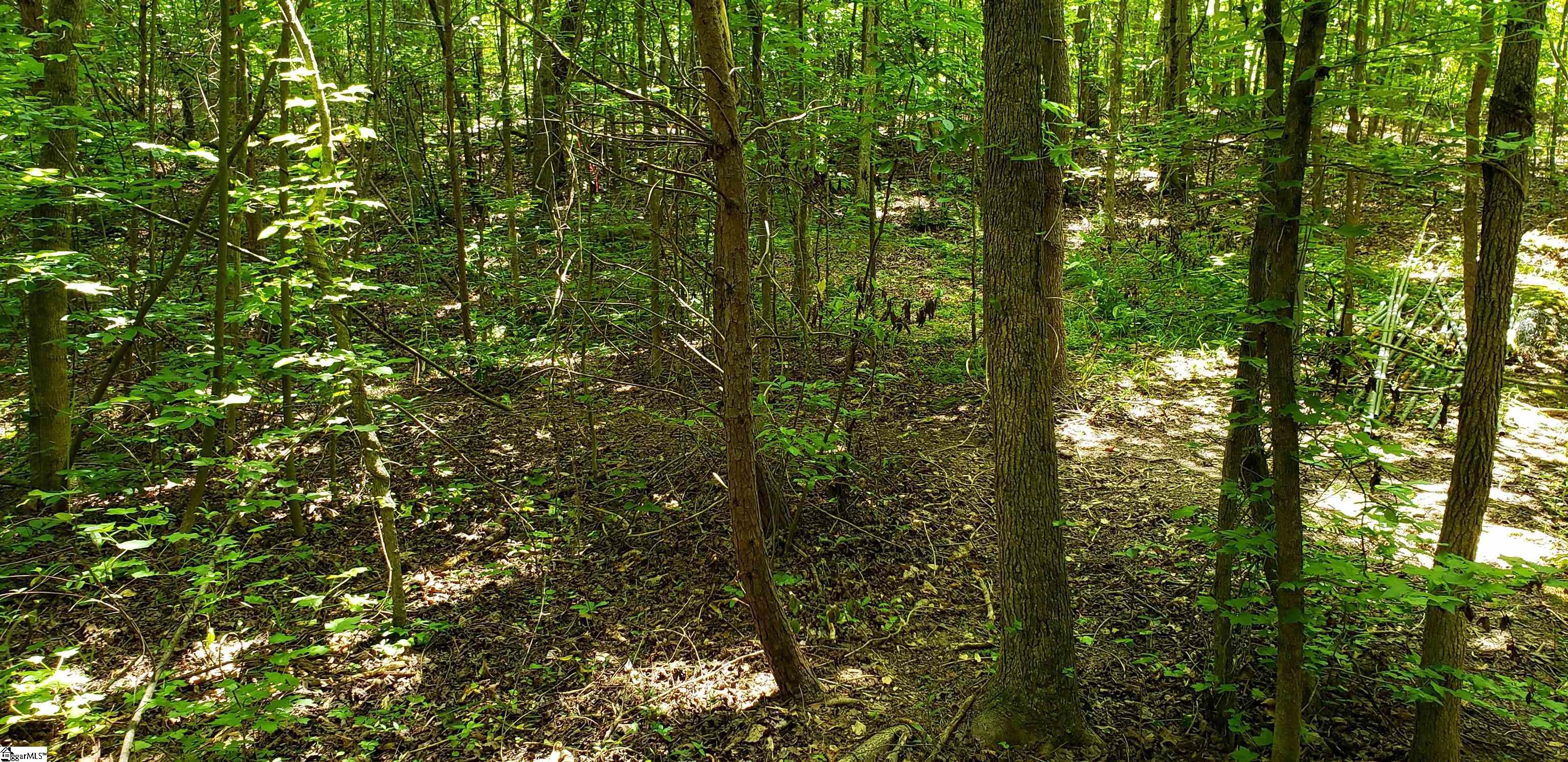 00 Thorn Ridge Lane, Pelzer SC 29669