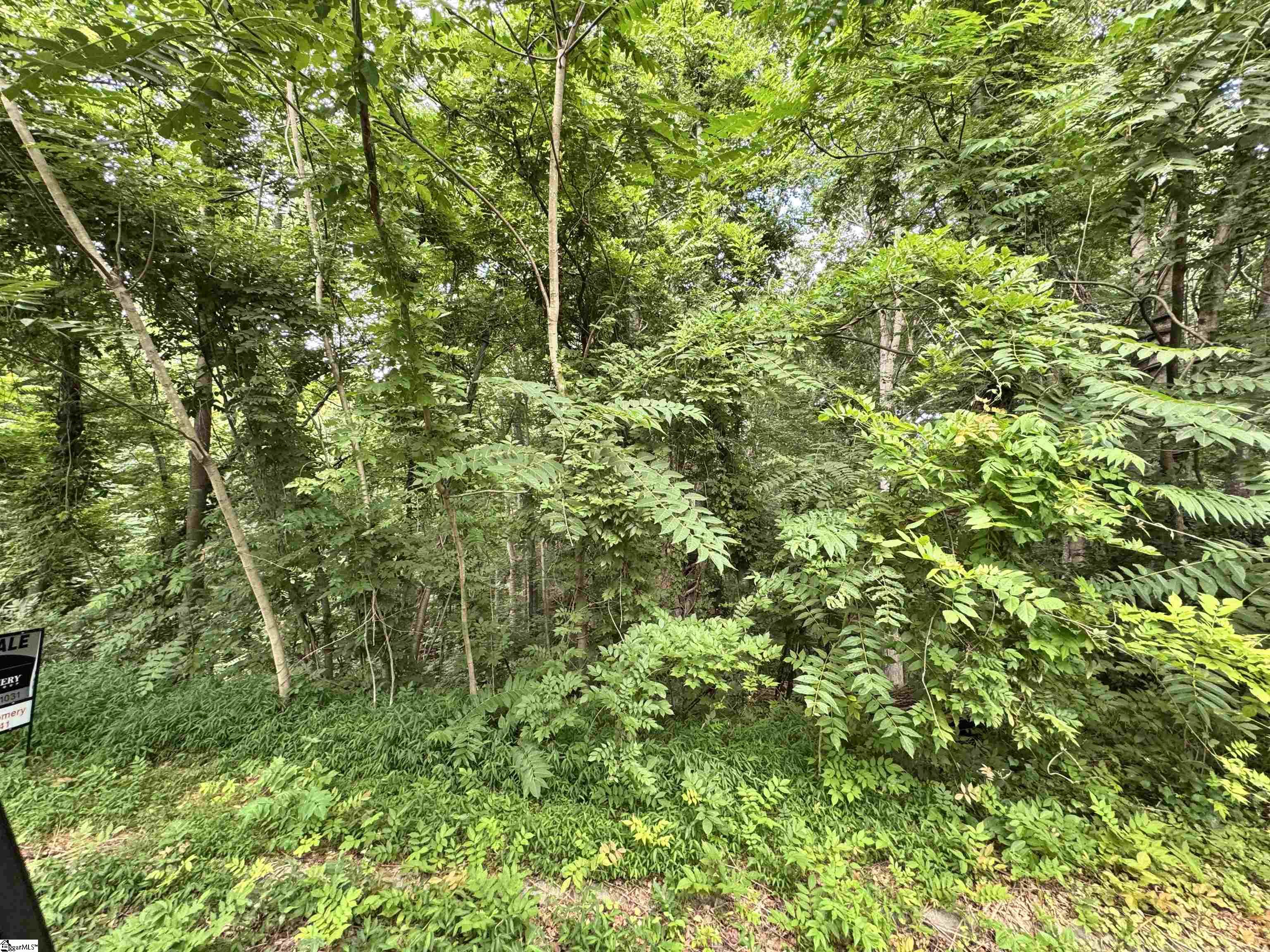 1220 Green Fern, Greenville, South Carolina image 3