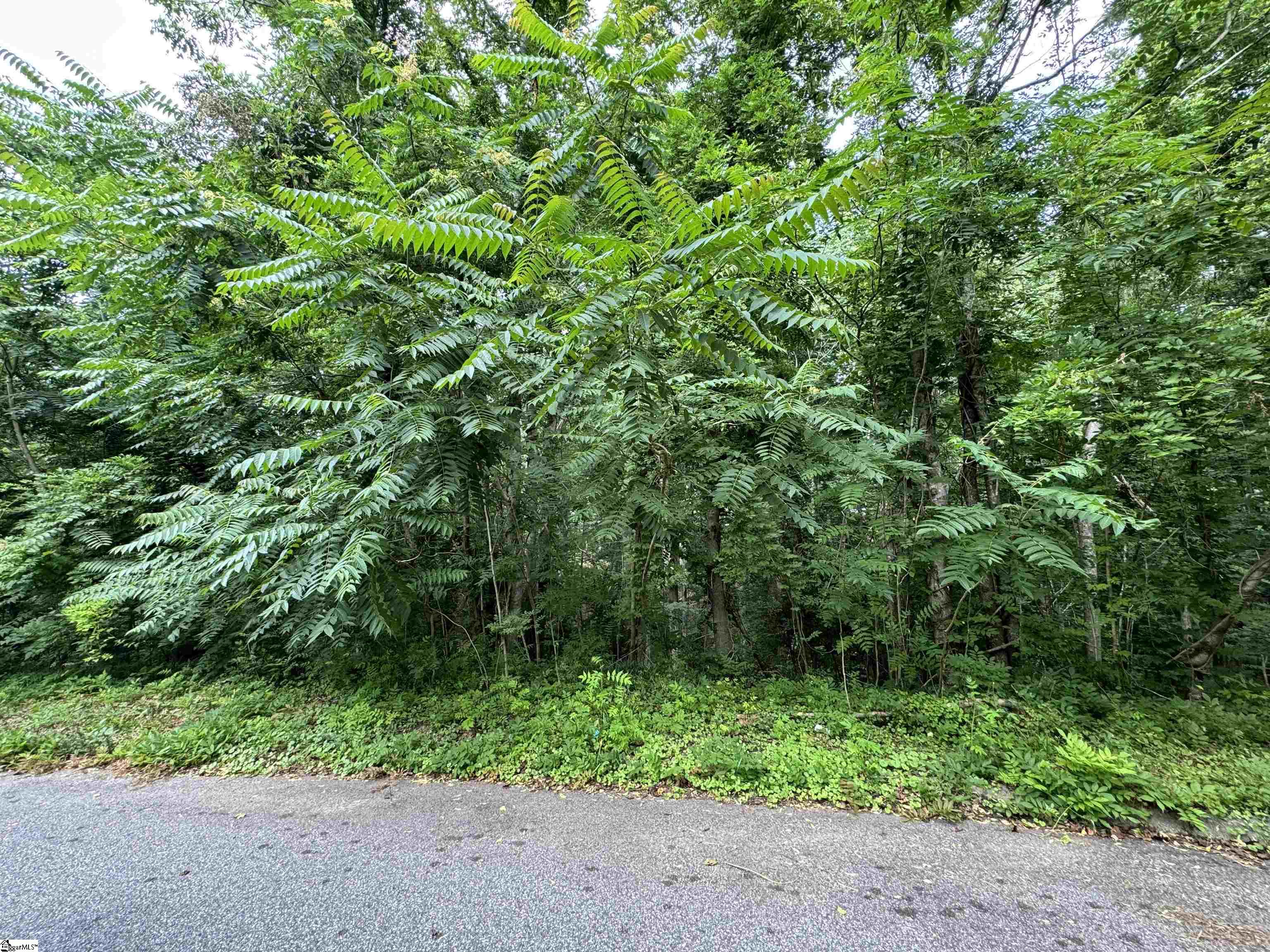 1218 Green Fern, Greenville, South Carolina image 2