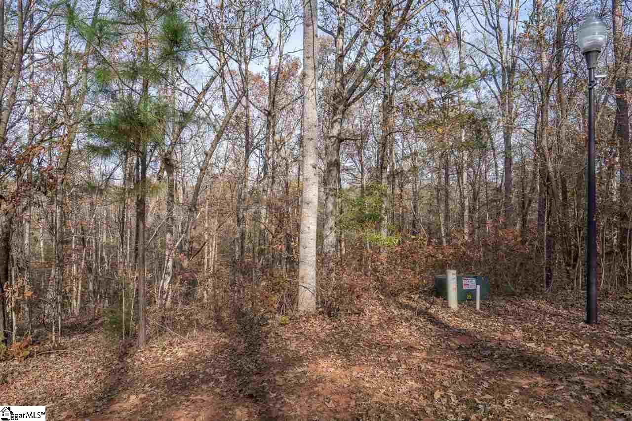 Overlook Drive Lot 40, Fair Play SC 29643-2721