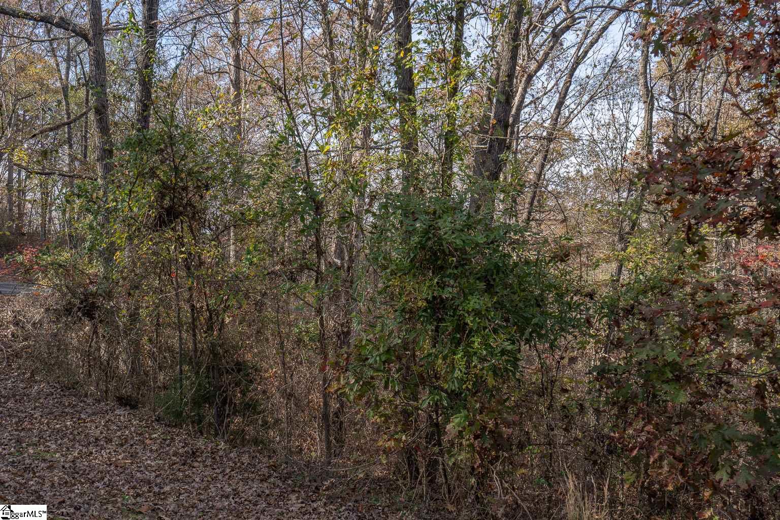 Overlook Drive Lot 45, Fair Play SC 29643-2721