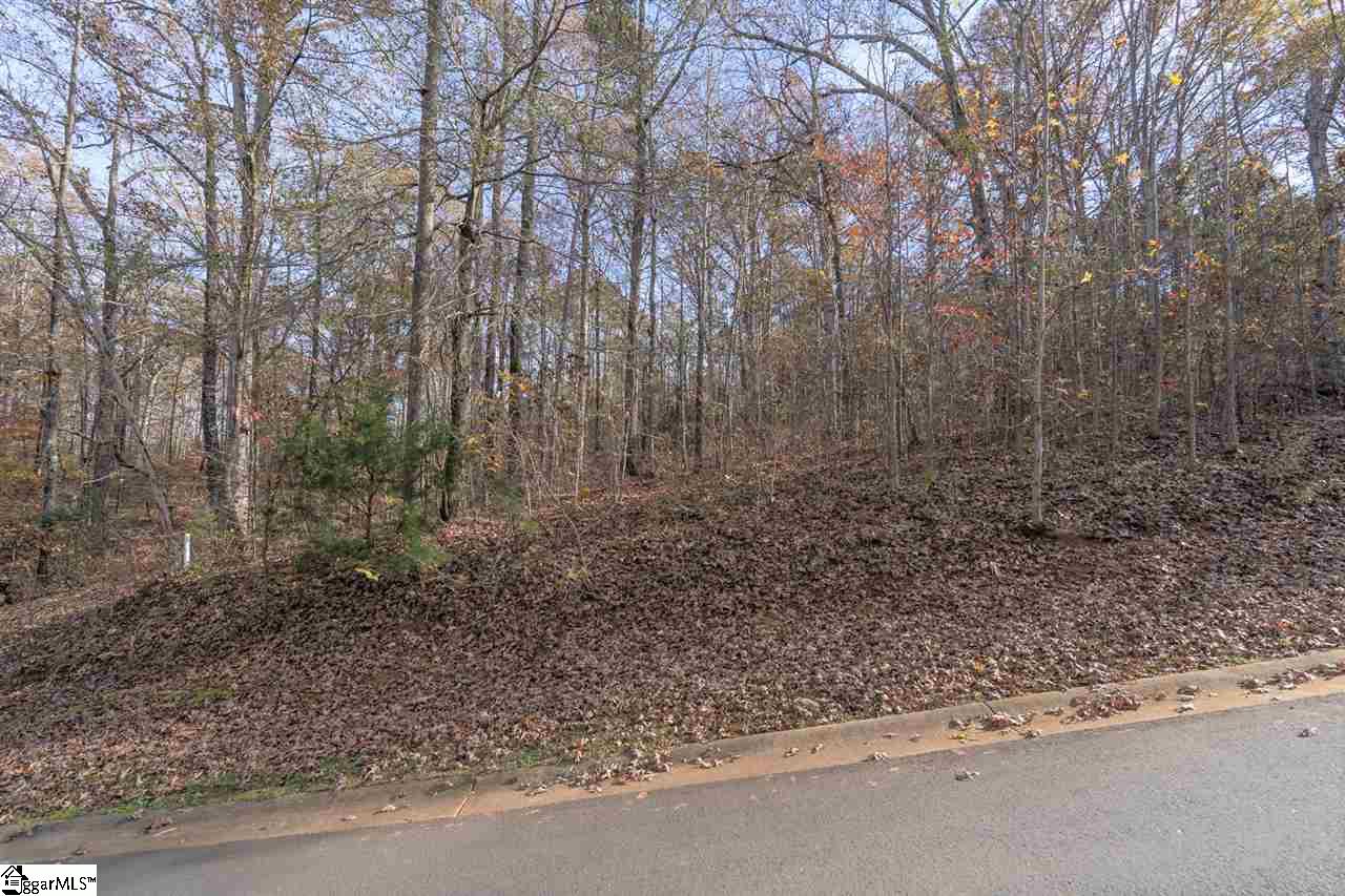 Overlook Drive Lot 46, Fair Play SC 29643-2721