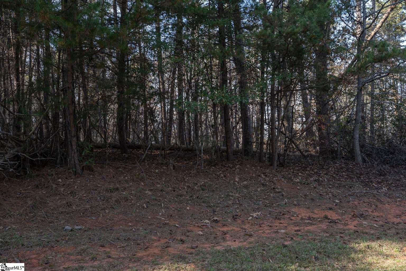 Overlook Drive Lot 49, Fair Play SC 29643-2721