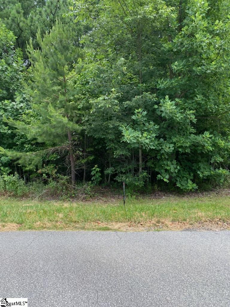 485 Packs Mountain Ridge, Taylors, South Carolina image 3