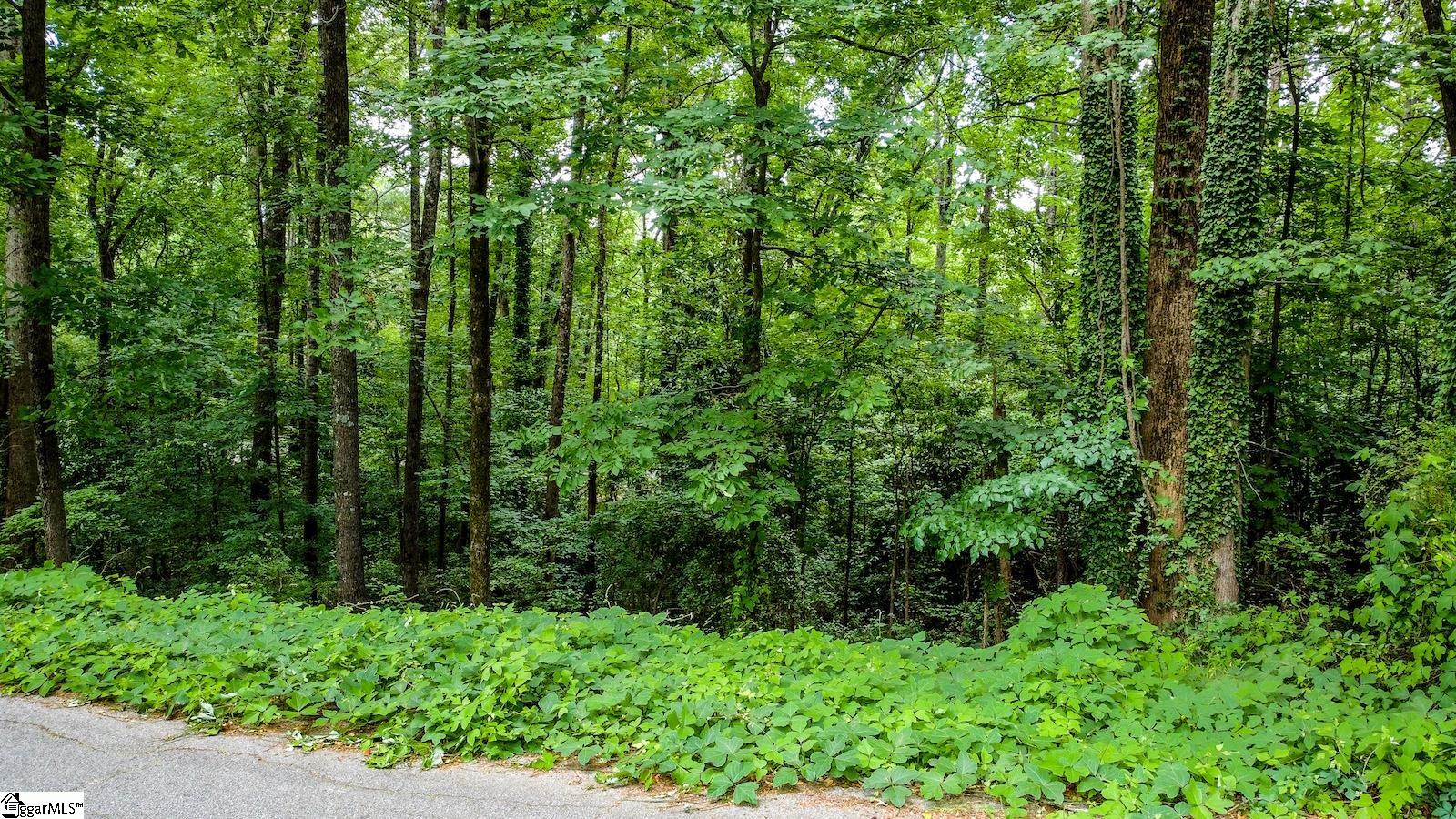00 Westminster Drive, Pendleton SC 29670