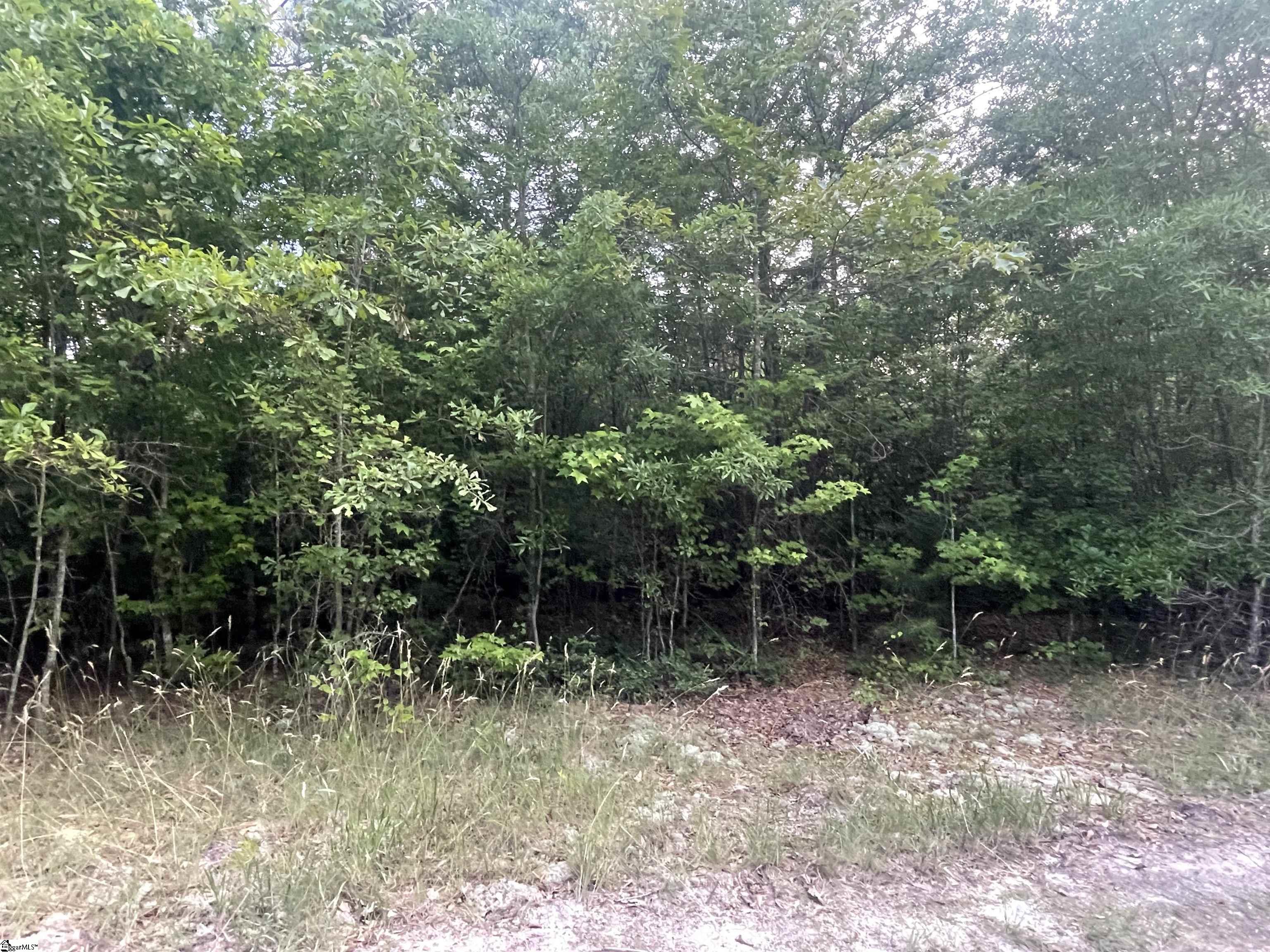 00 Conner, Hodges, South Carolina image 1