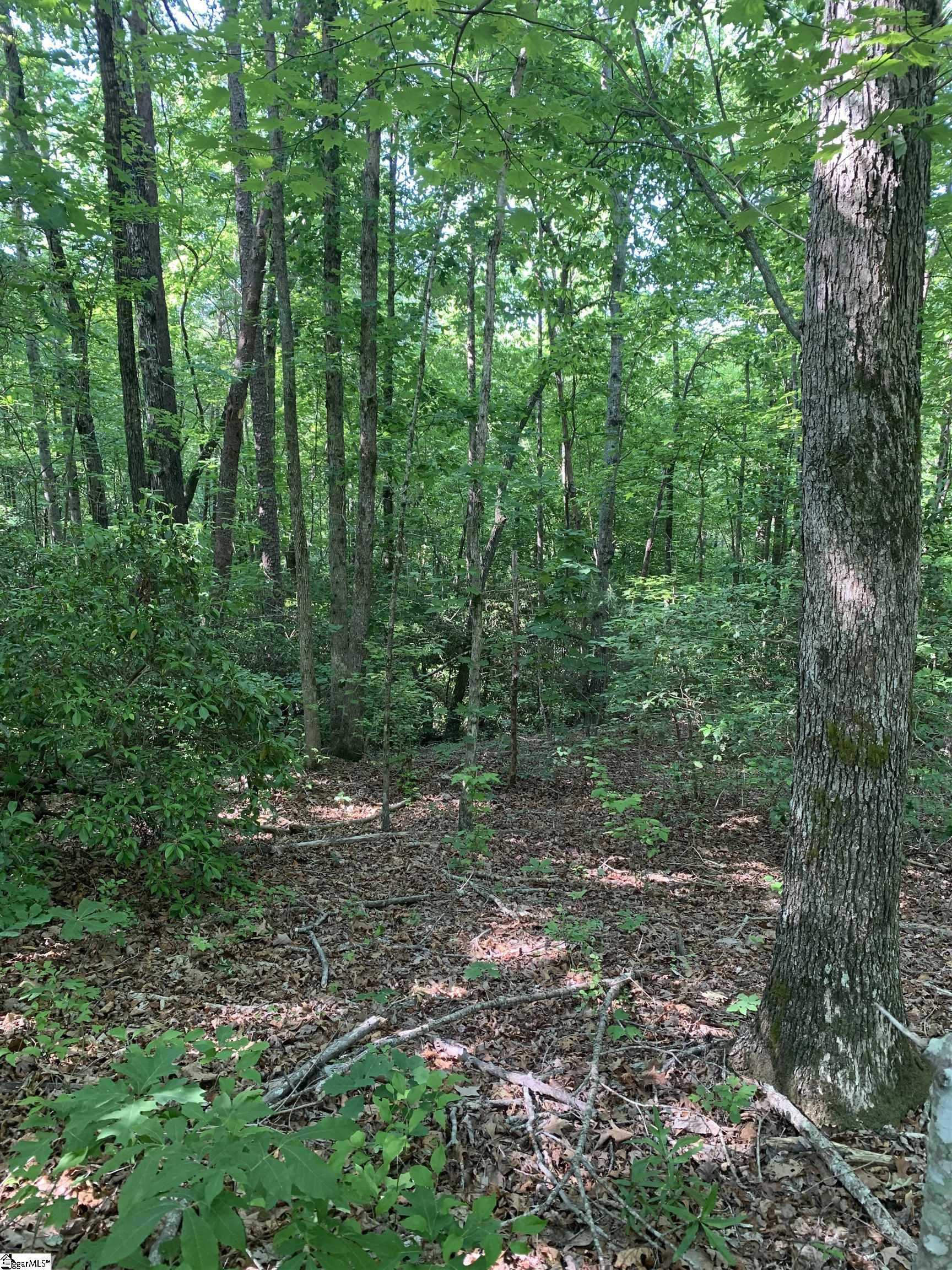 779 Trammell, Travelers Rest, South Carolina image 4