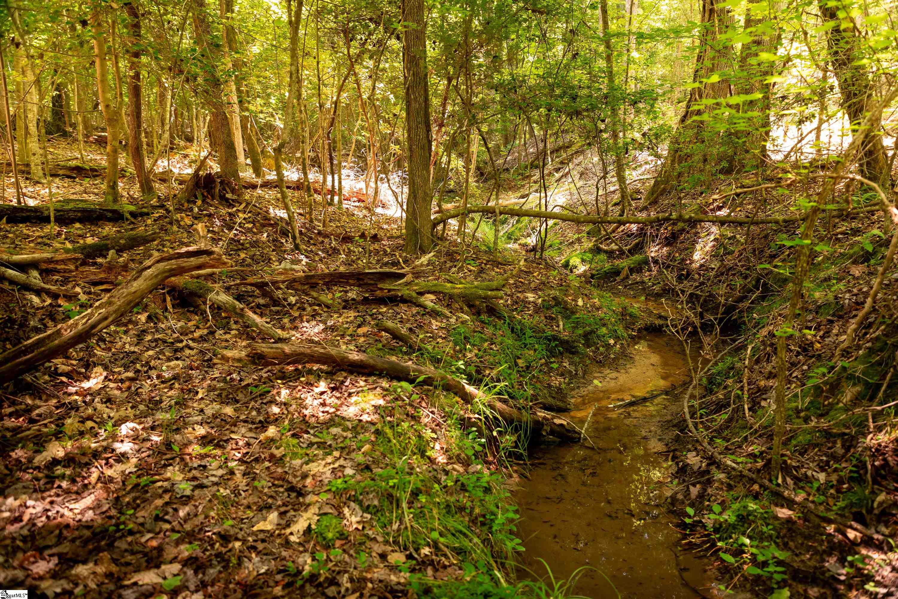 016 Goldmine, Spartanburg, South Carolina image 18