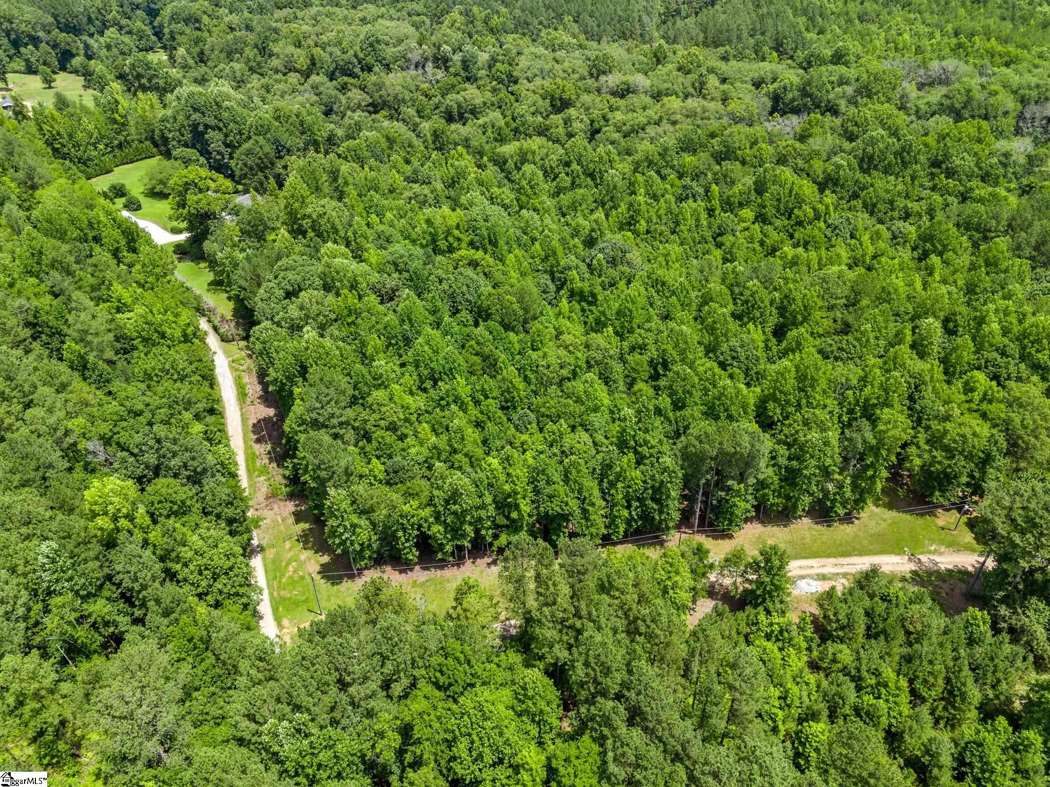 Bowater Pass, Fountain Inn, South Carolina image 13