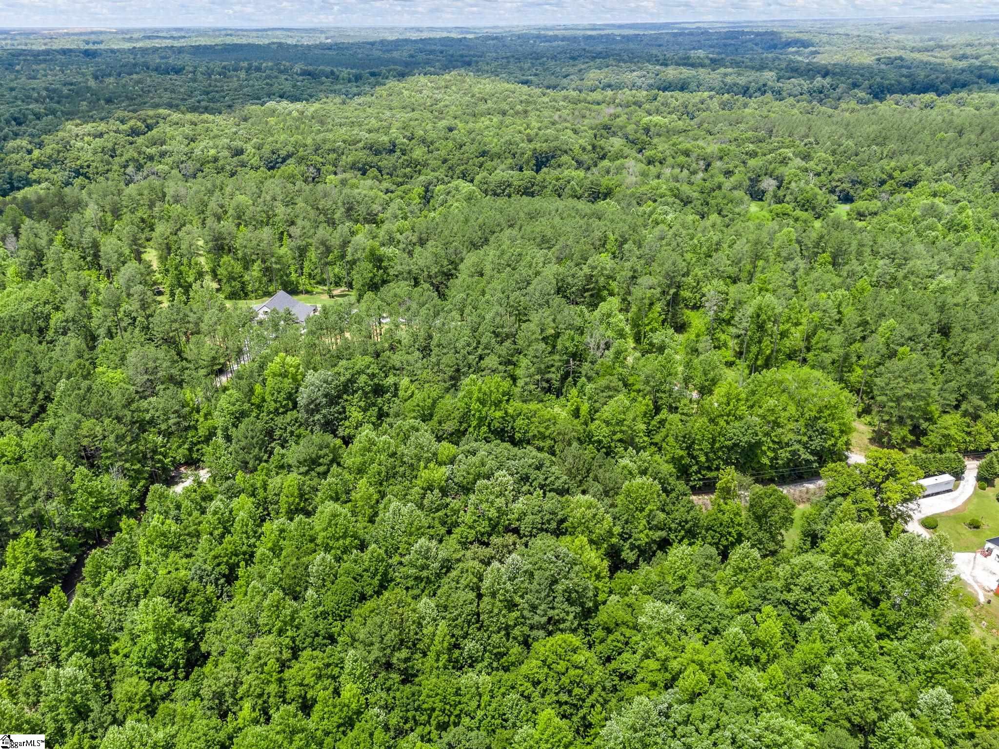 Bowater Pass, Fountain Inn, South Carolina image 14