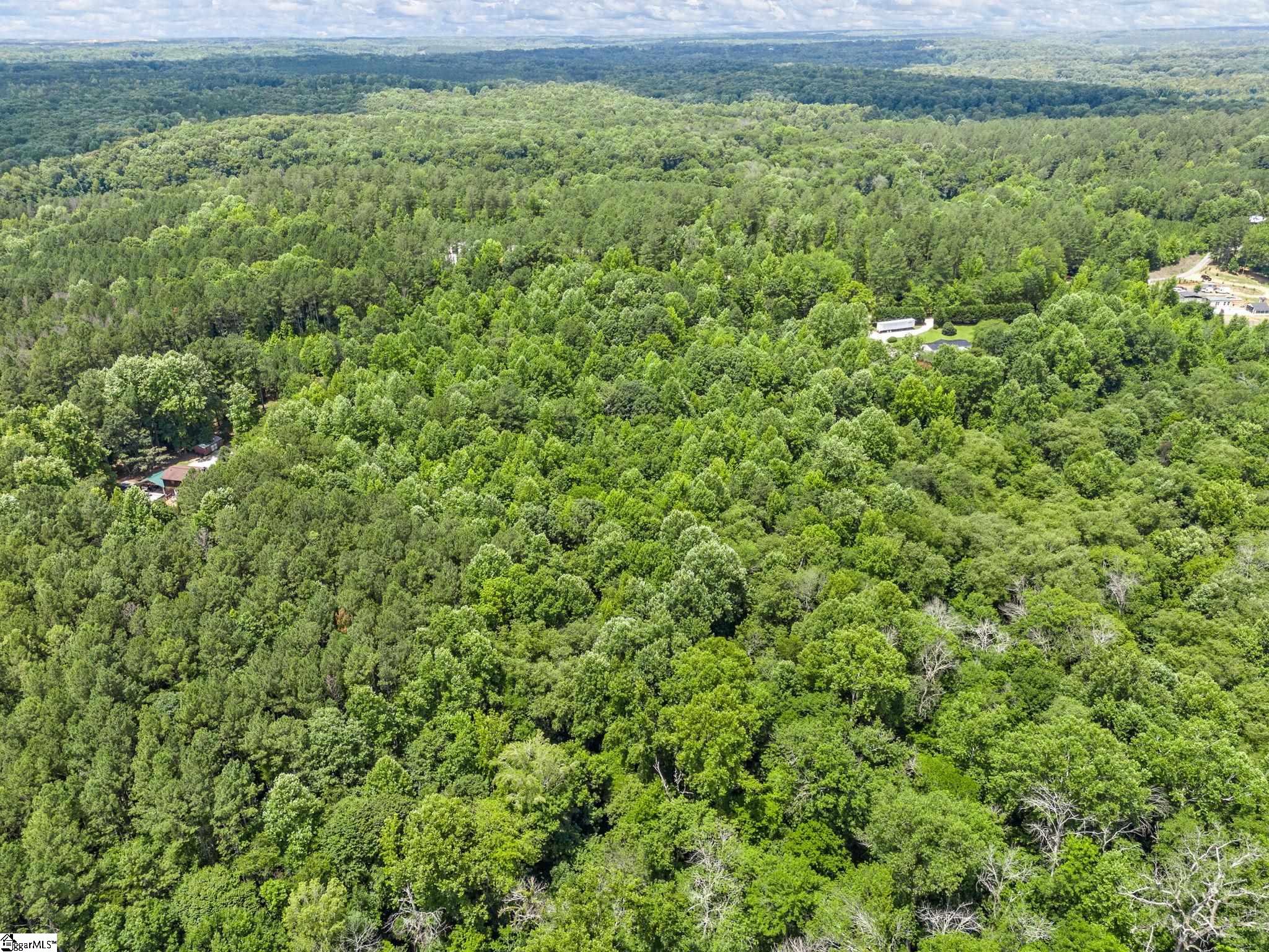 Bowater Pass, Fountain Inn, South Carolina image 17