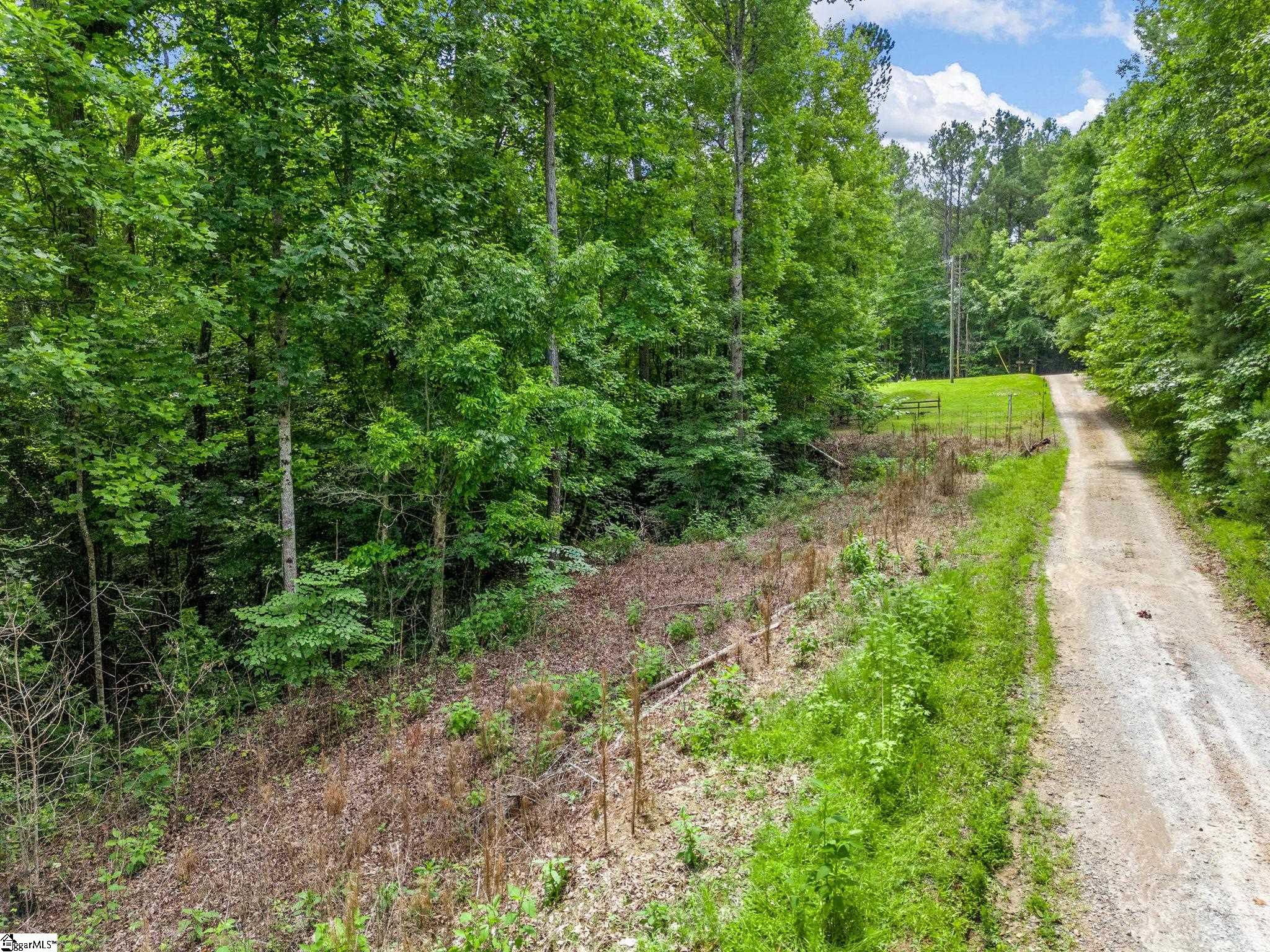 Bowater Pass, Fountain Inn, South Carolina image 3