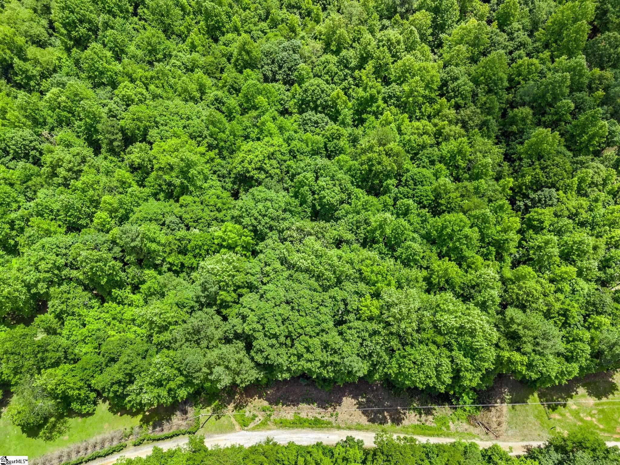 Bowater Pass, Fountain Inn, South Carolina image 7