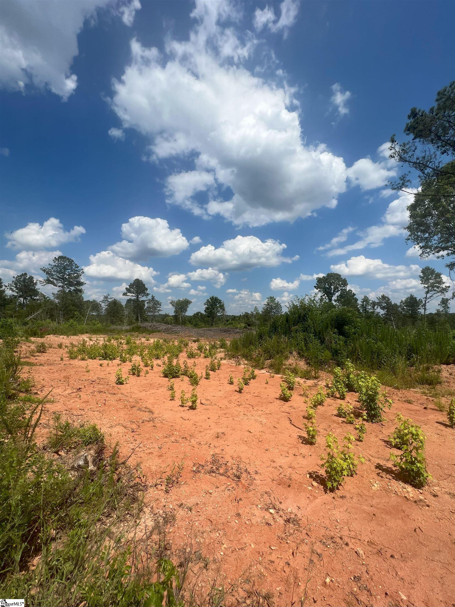 761 Casey, Woodruff, South Carolina image 2
