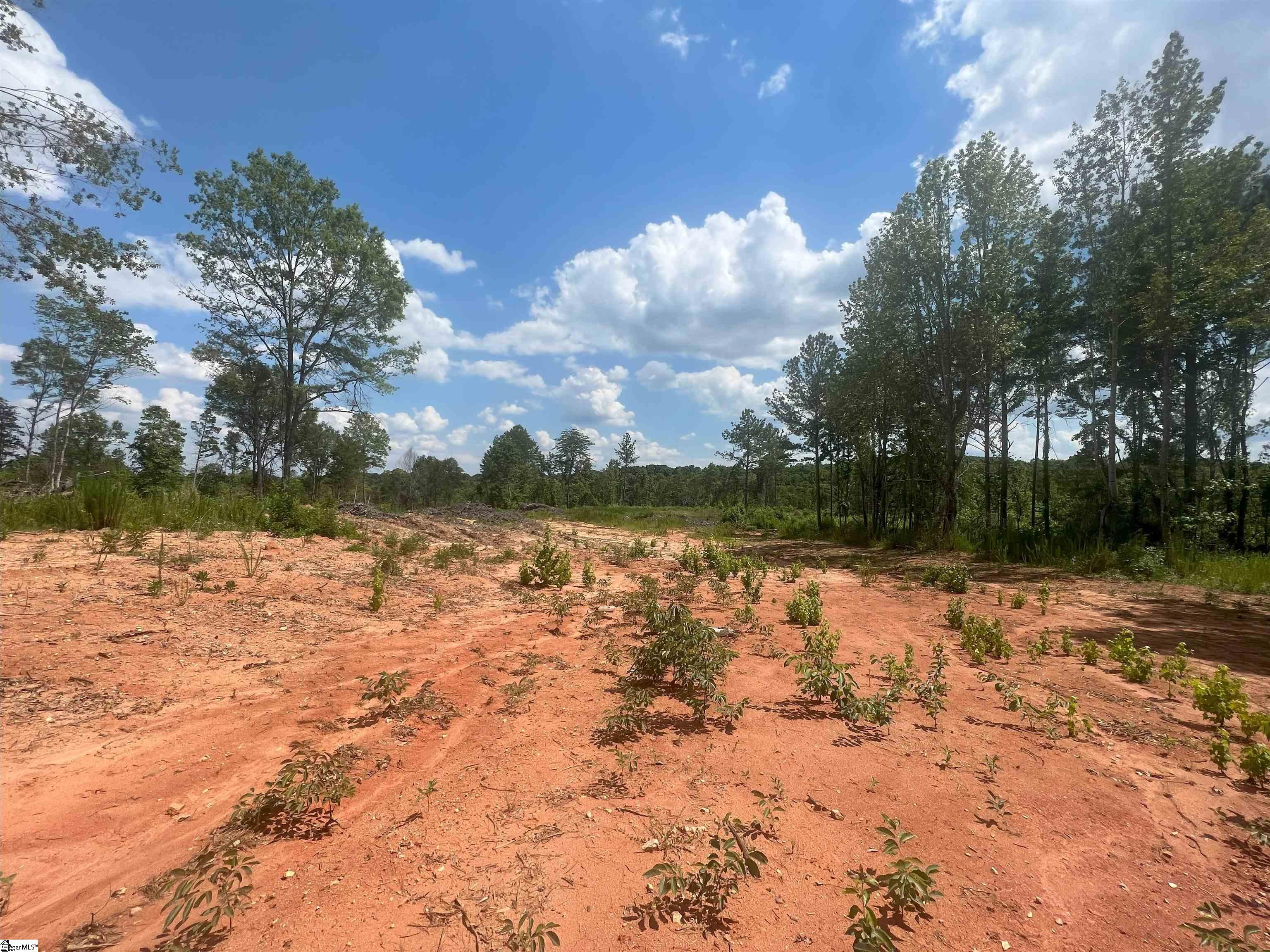 761 Casey, Woodruff, South Carolina image 3