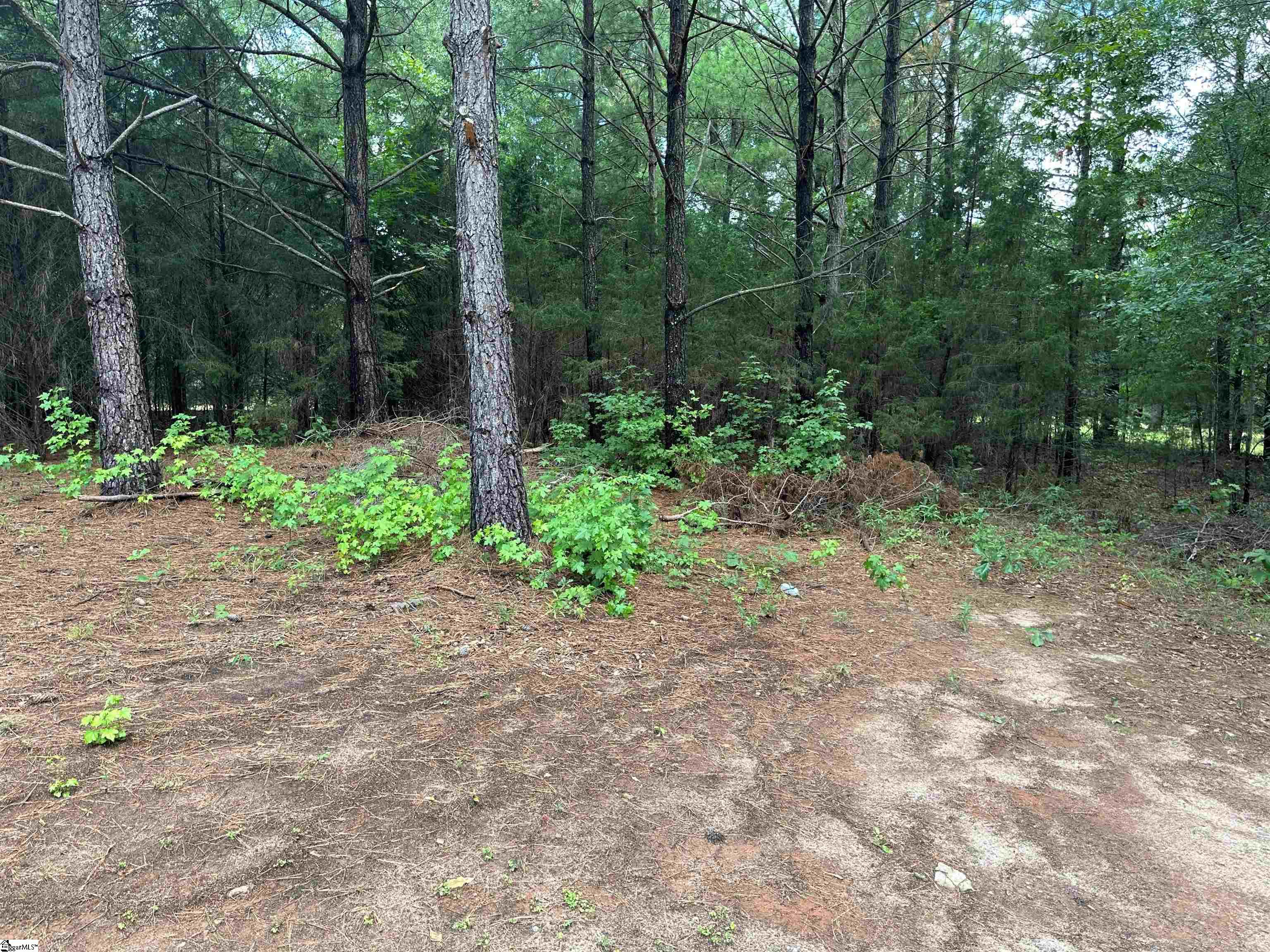 2394 S Highway 221, Laurens, South Carolina image 11