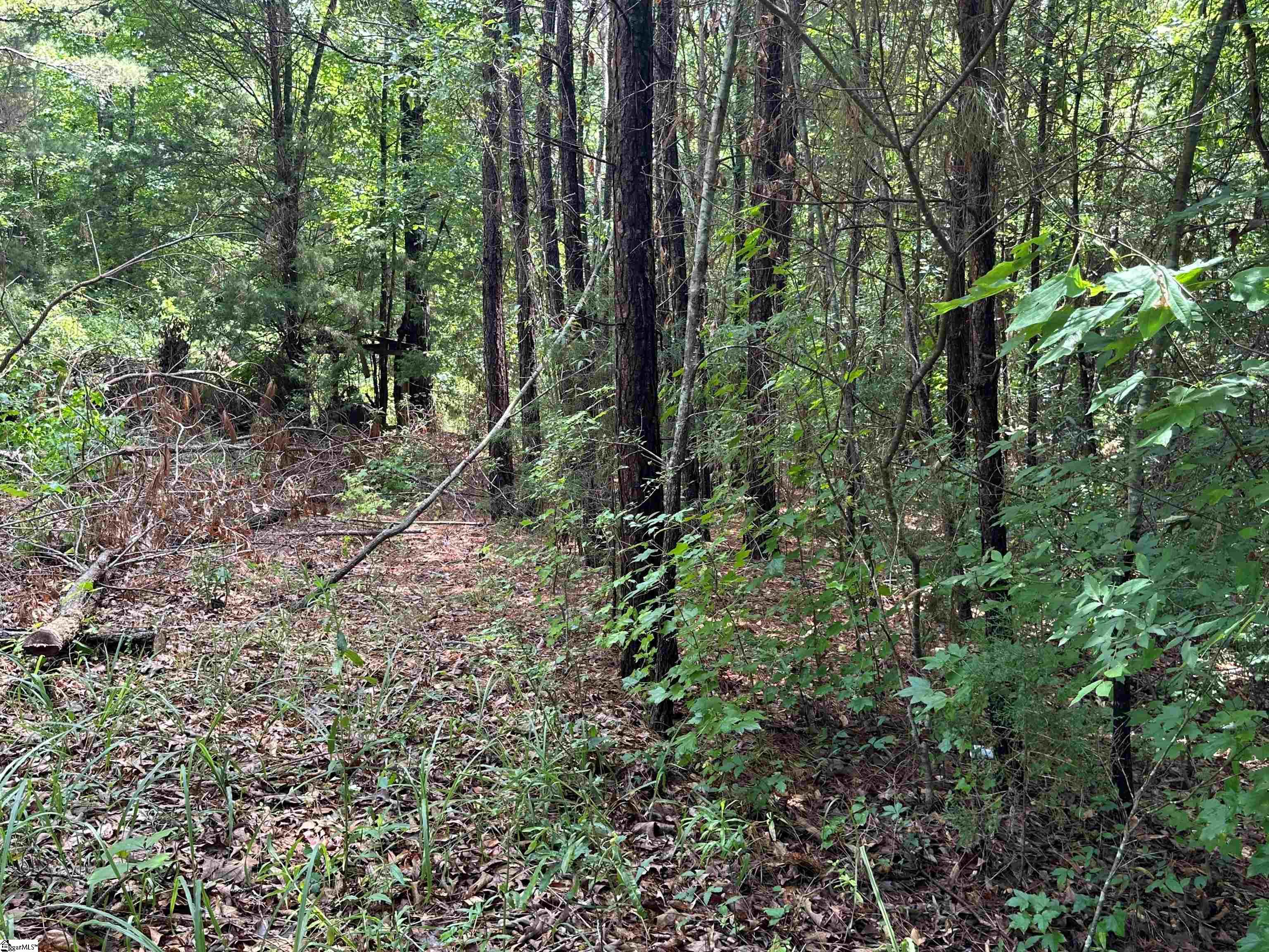 2394 S Highway 221, Laurens, South Carolina image 16