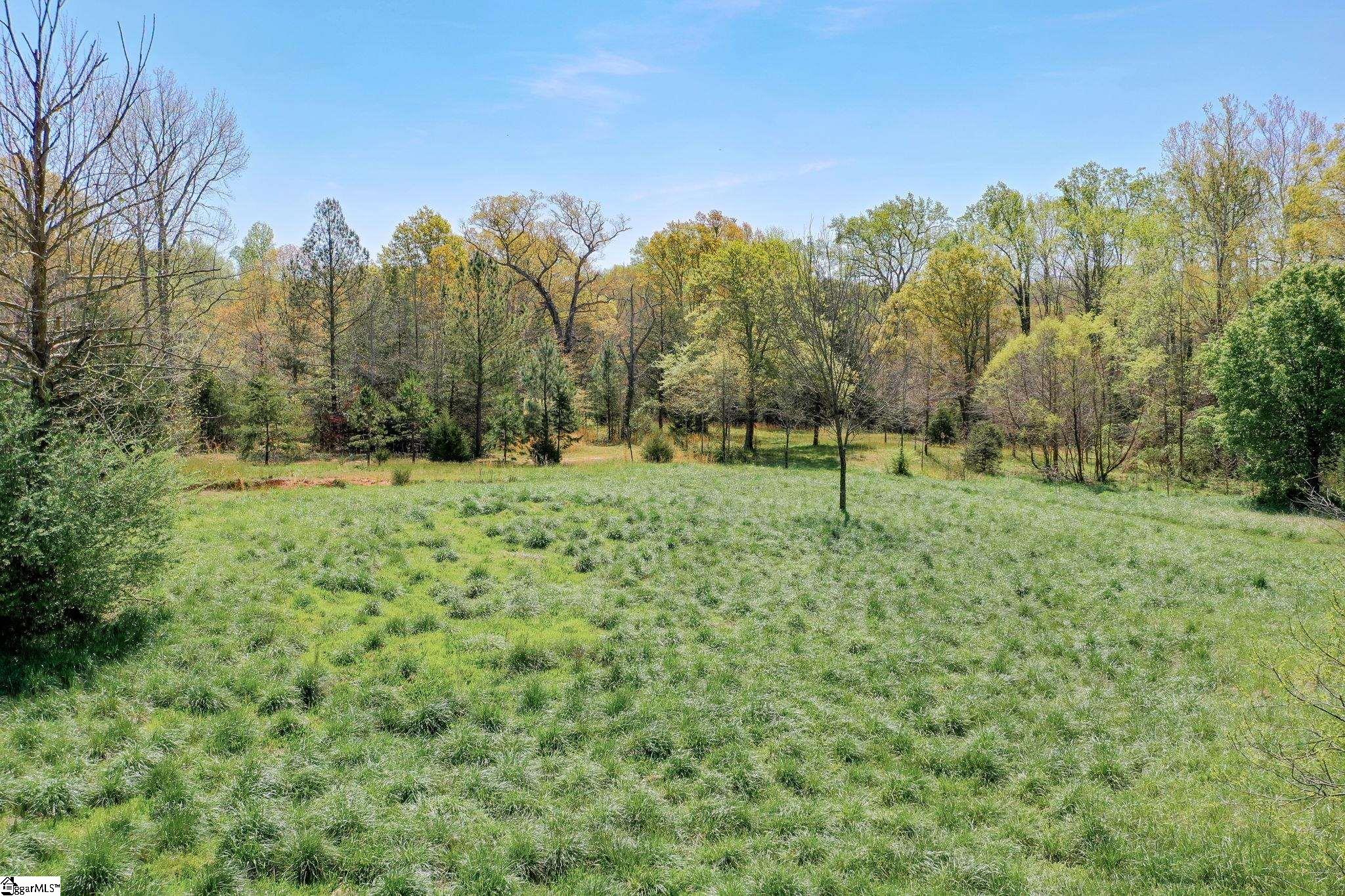 1805 Fairview, Fountain Inn, South Carolina image 25
