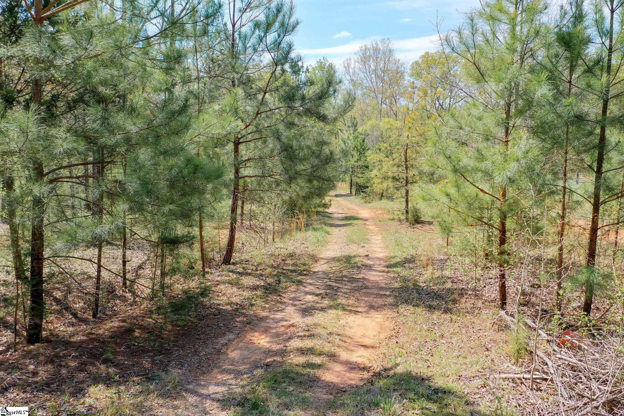 1805 Fairview, Fountain Inn, South Carolina image 36