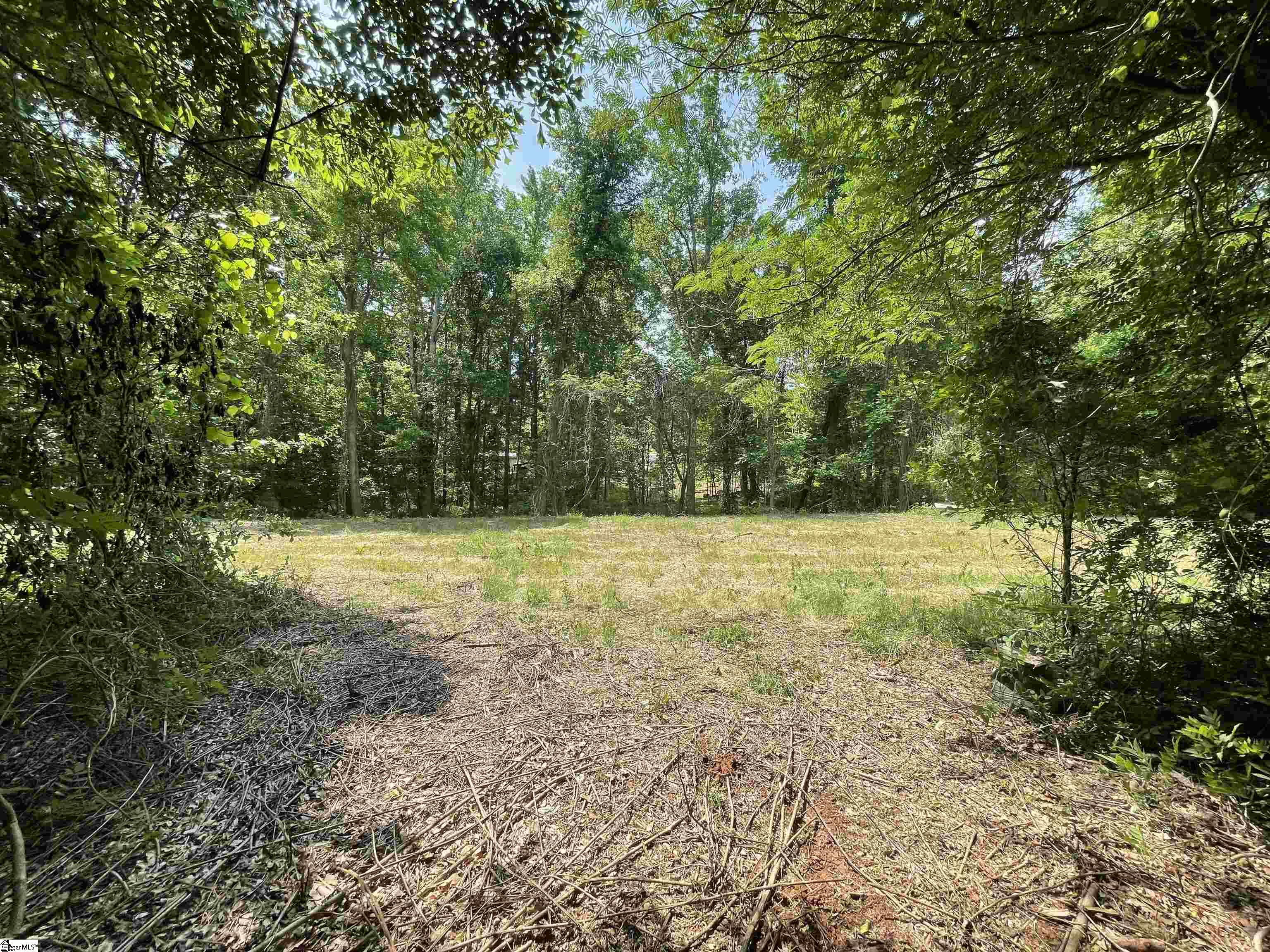 Fork Shoals, Greenville, South Carolina image 7