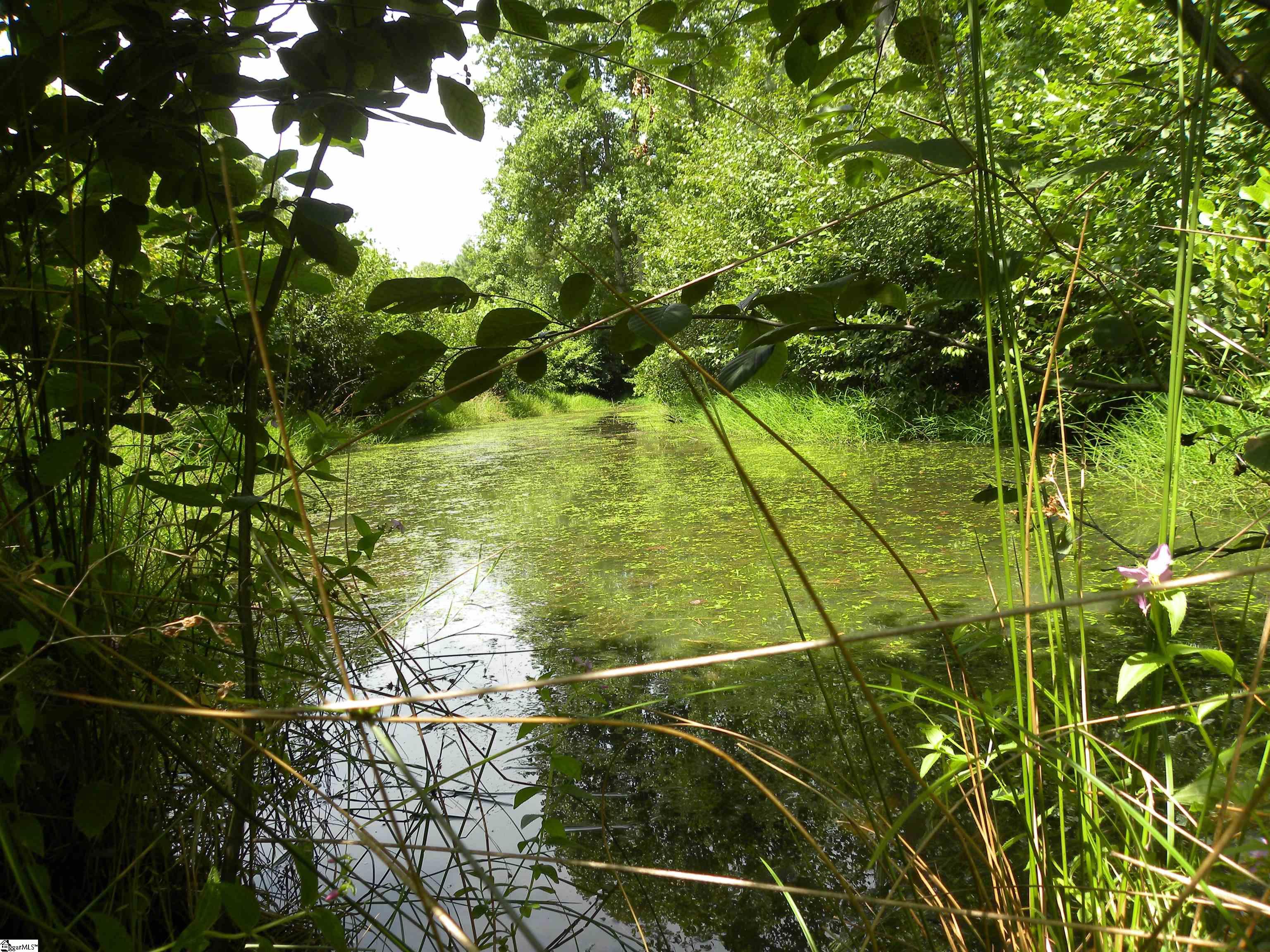 This small spring fed pond was previously stocked with fish.