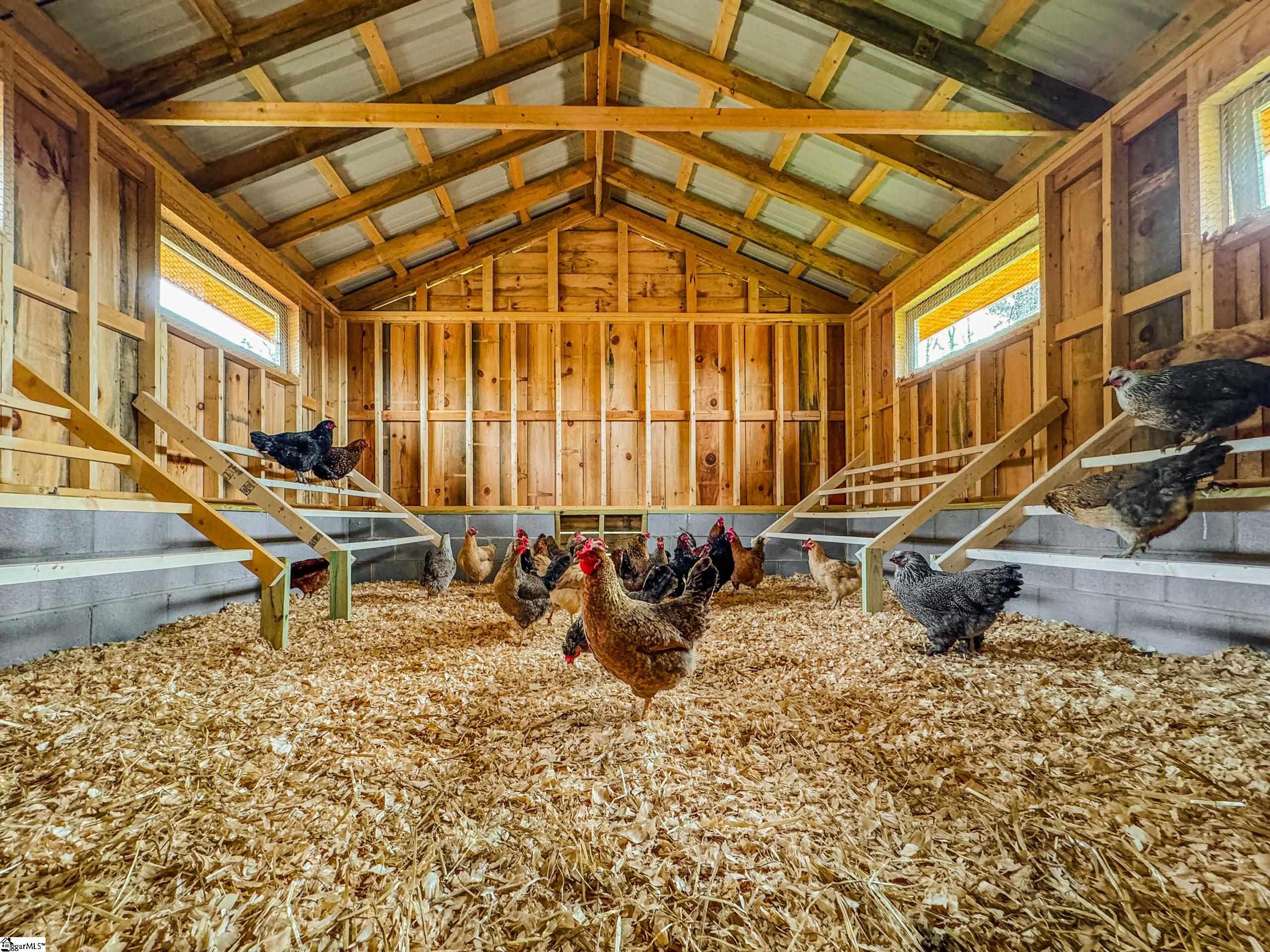 View of Community Chicken Coop