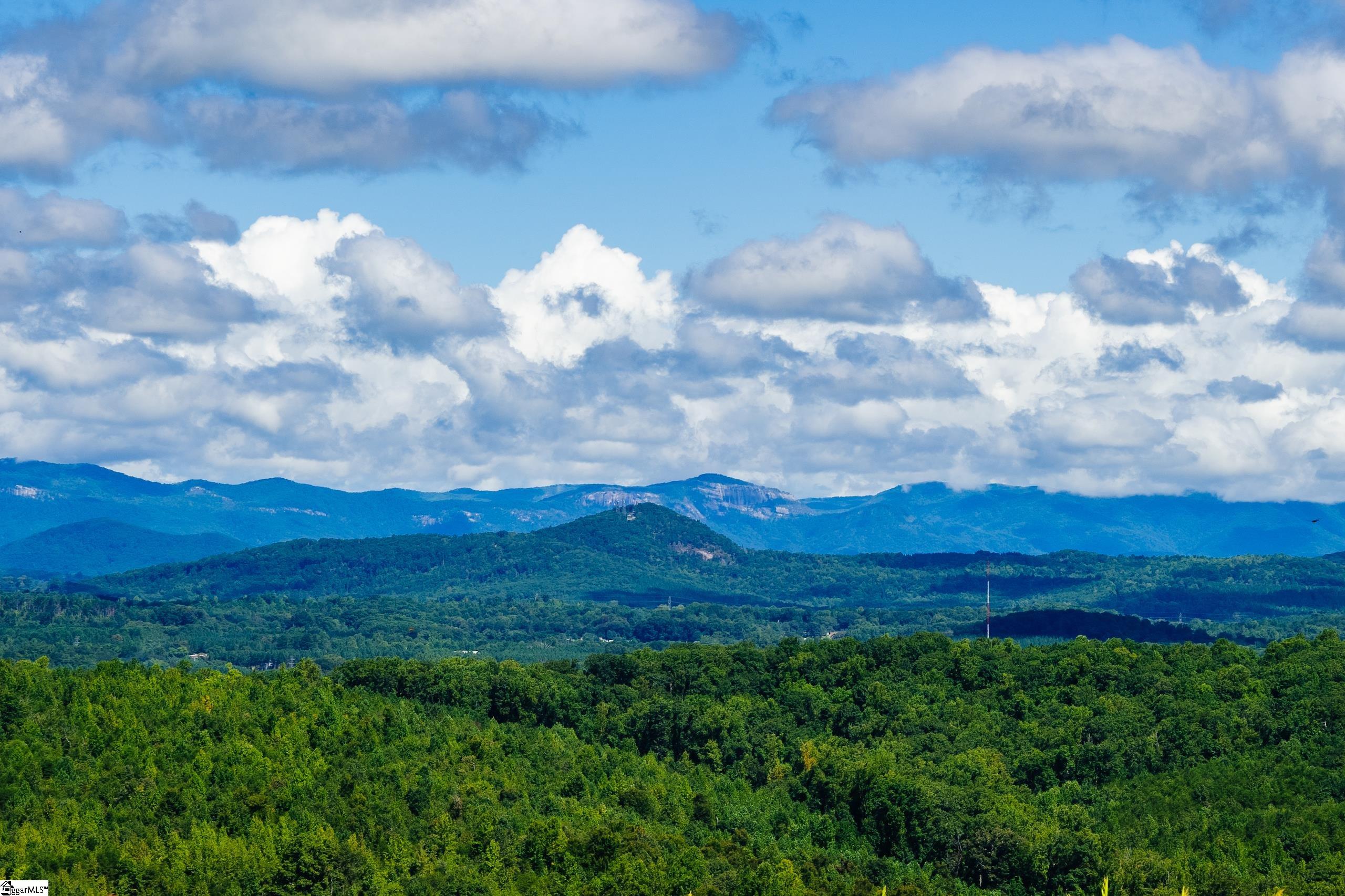 View From Mountain Top Common Facility